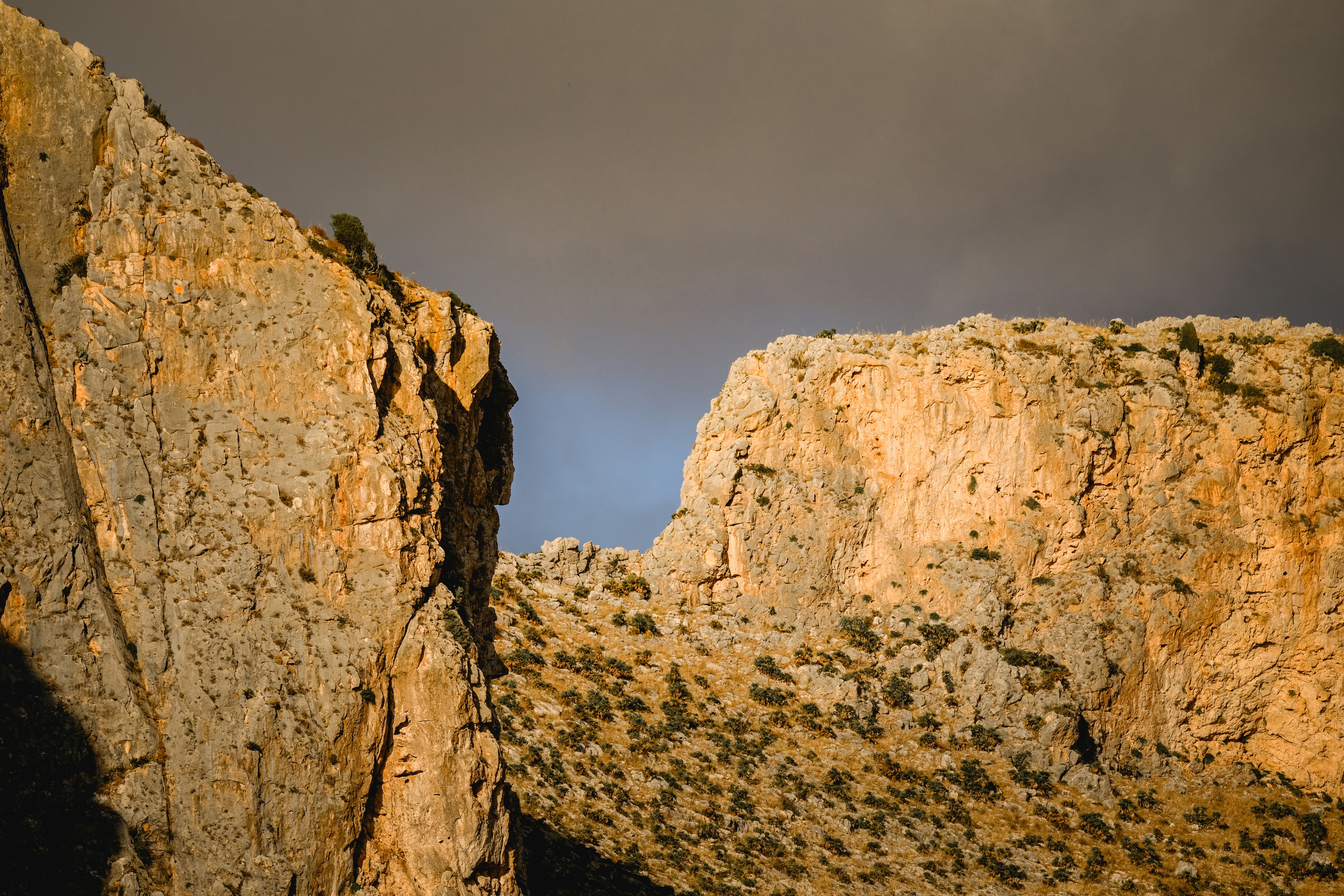 Photo by francesco_ungaro