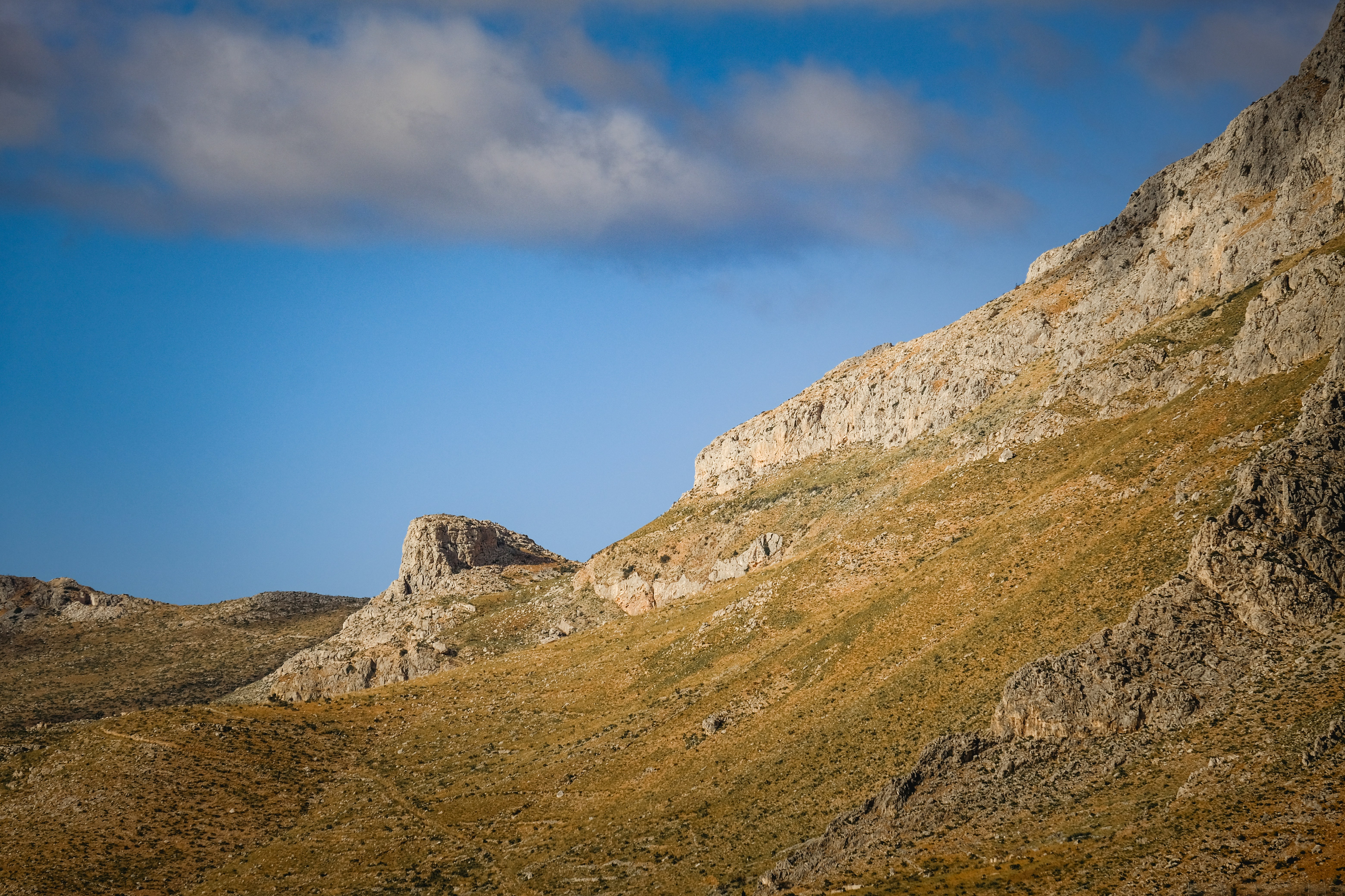 Photo by francesco_ungaro