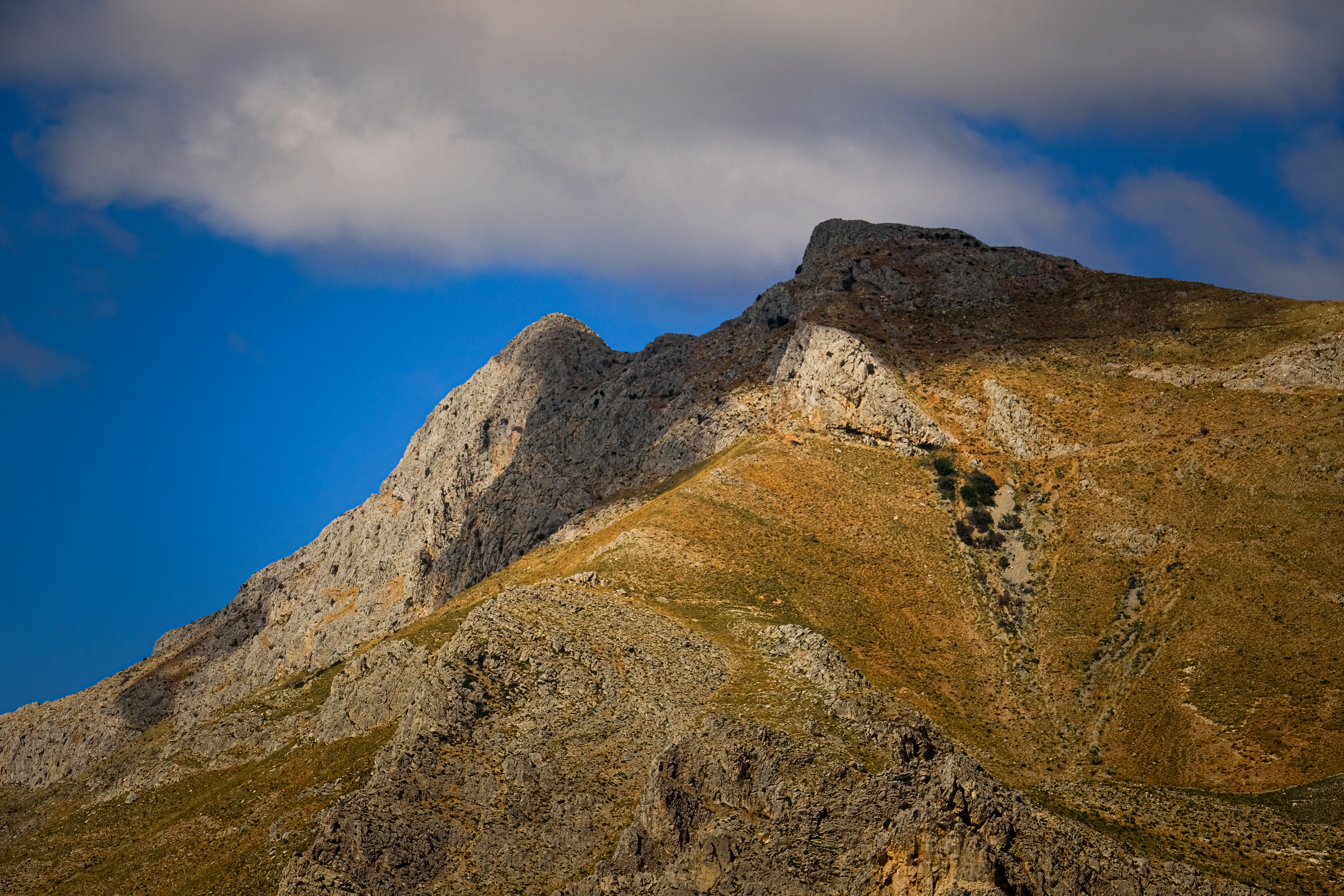 Photo by francesco_ungaro