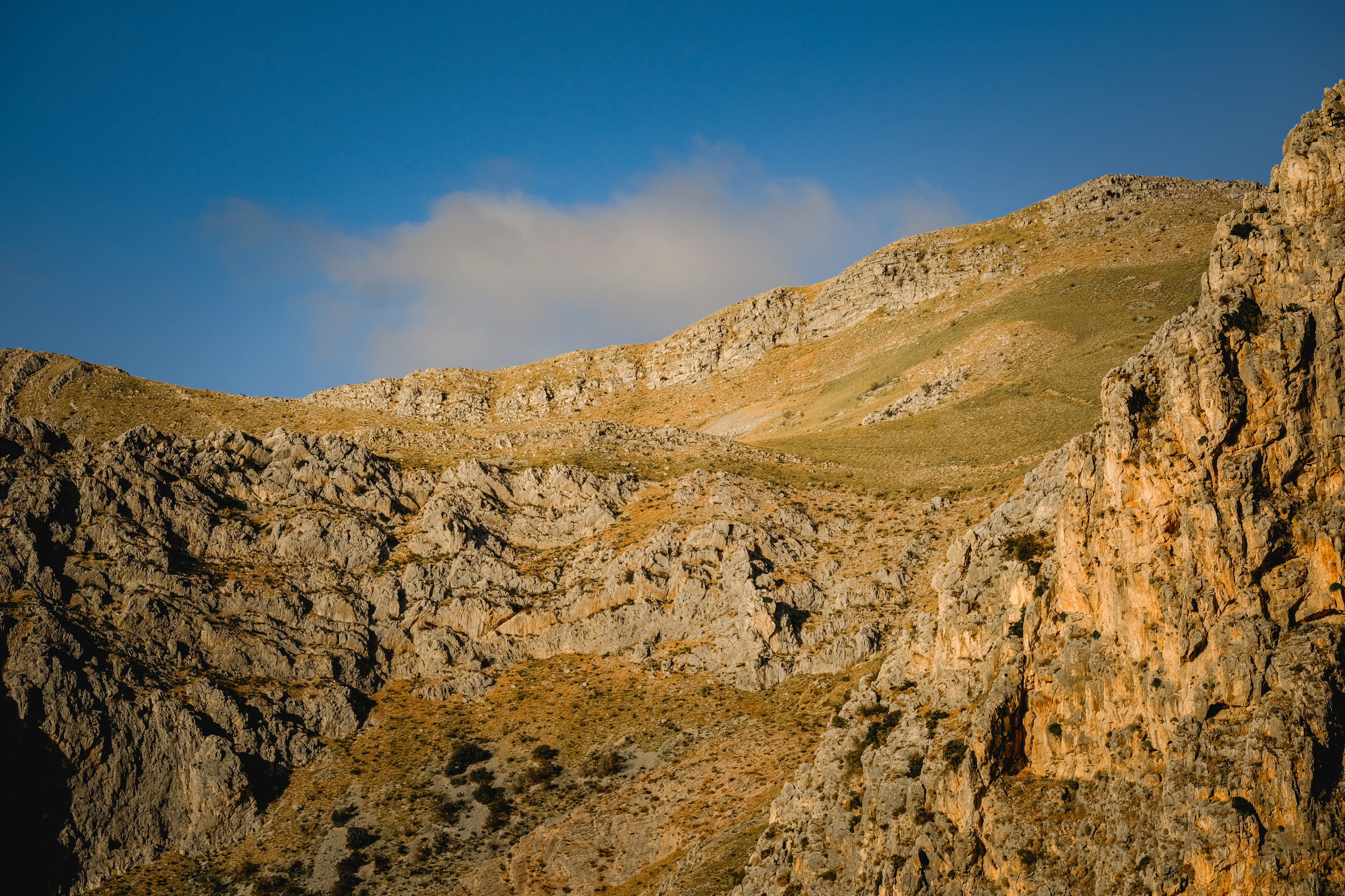 Photo by francesco_ungaro