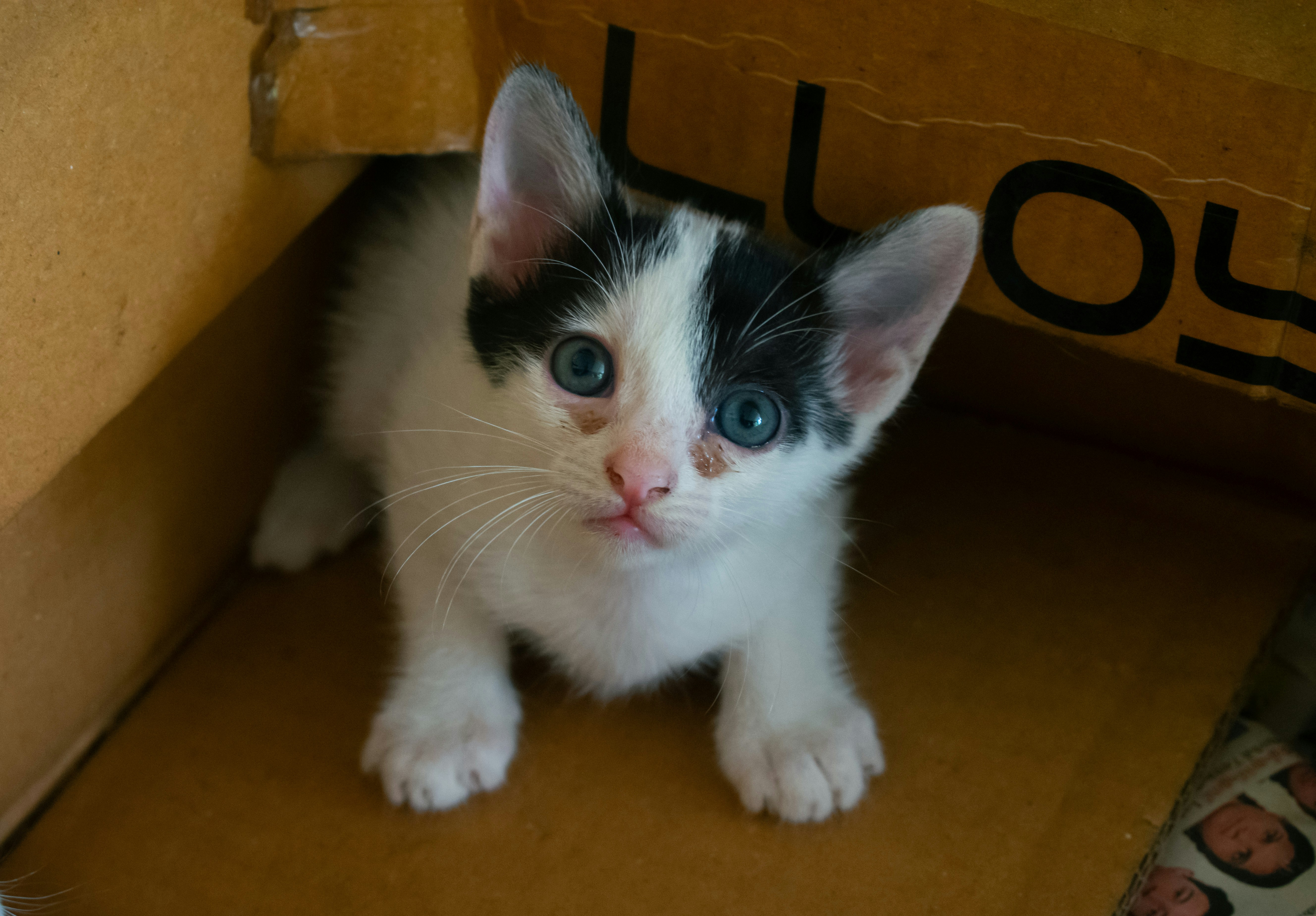 Photo by martinphotography