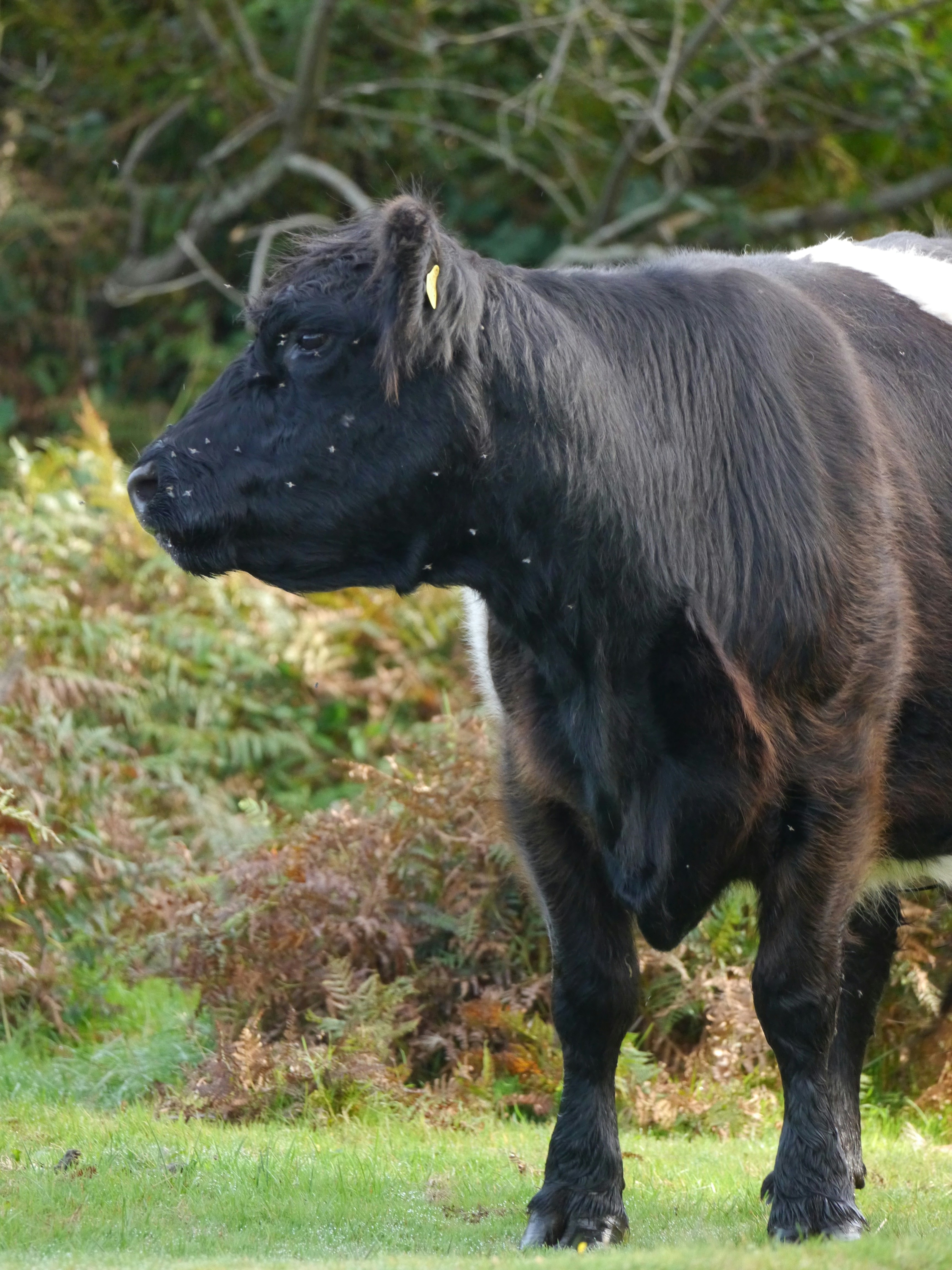 Photo by iqsphotography