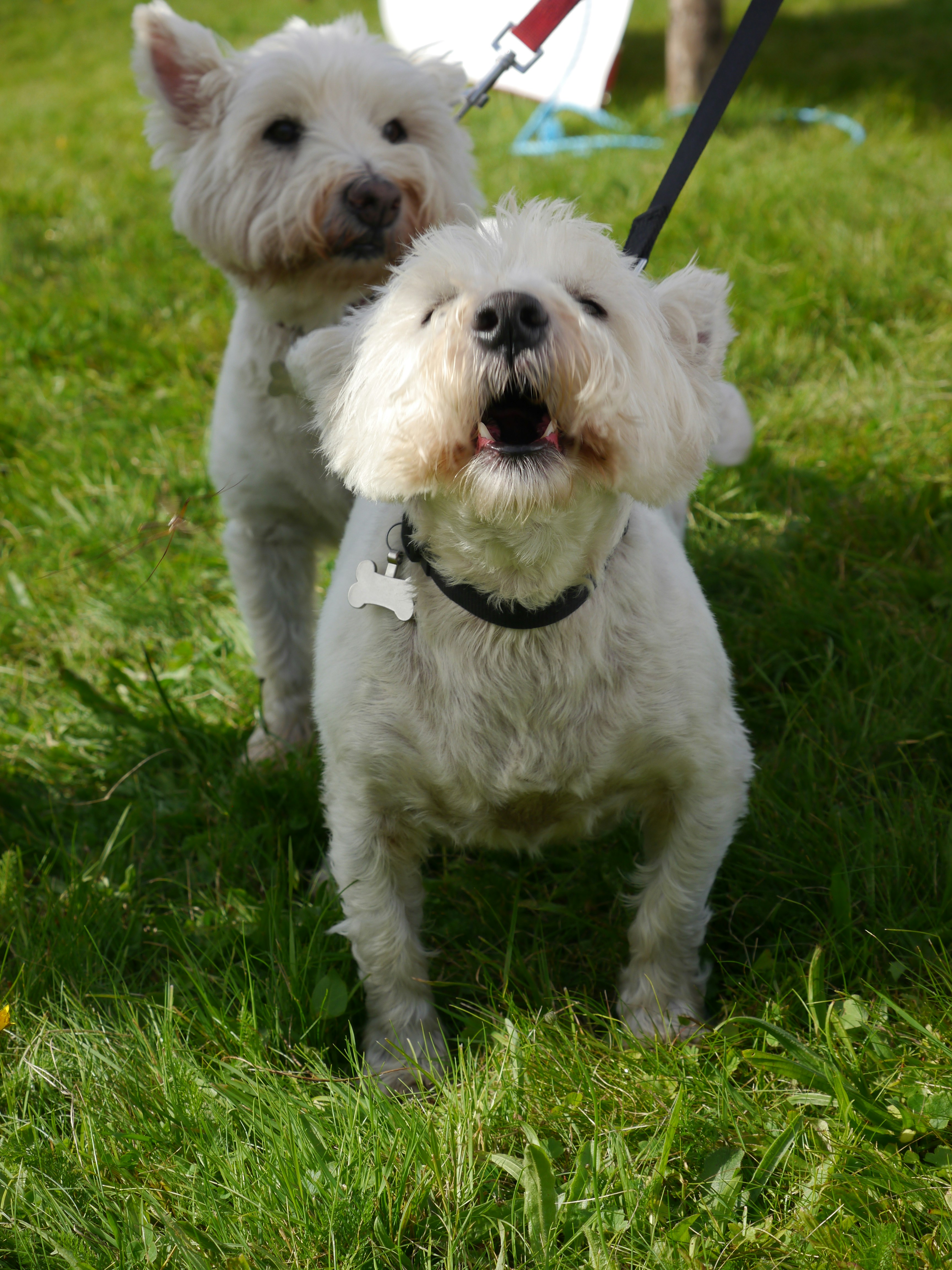 Photo by iqsphotography