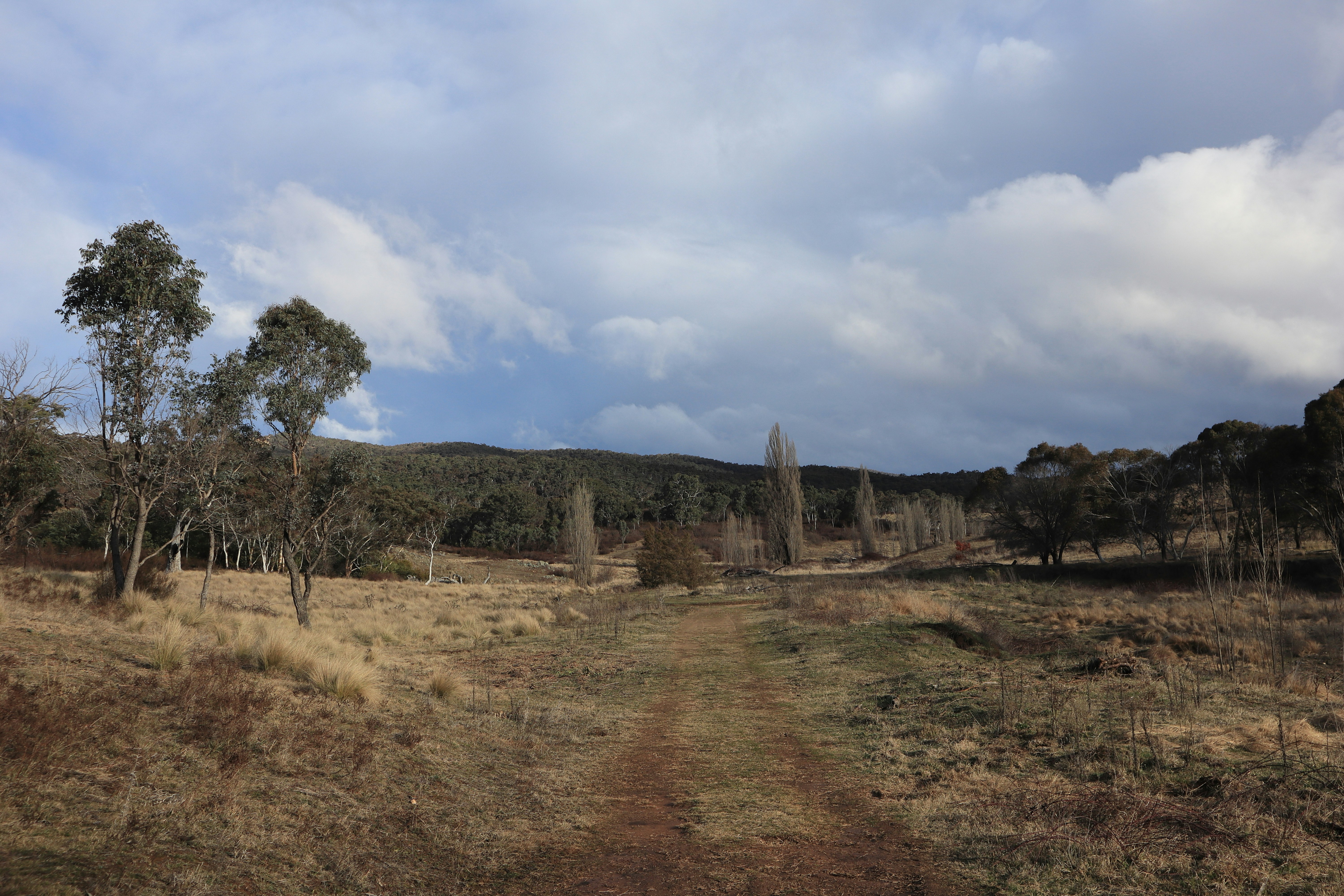 Photo by joyfulfrugalista