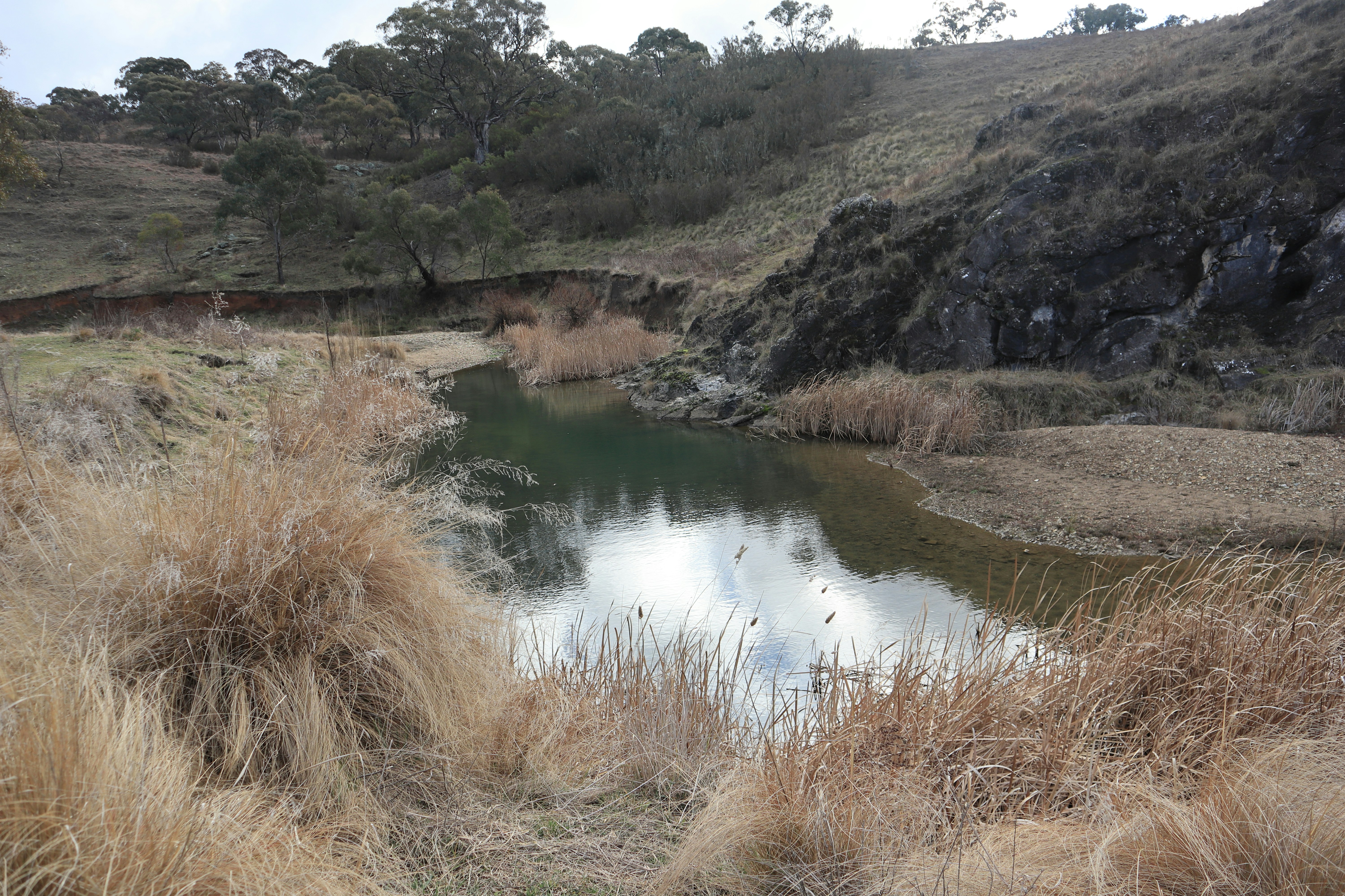 Photo by joyfulfrugalista