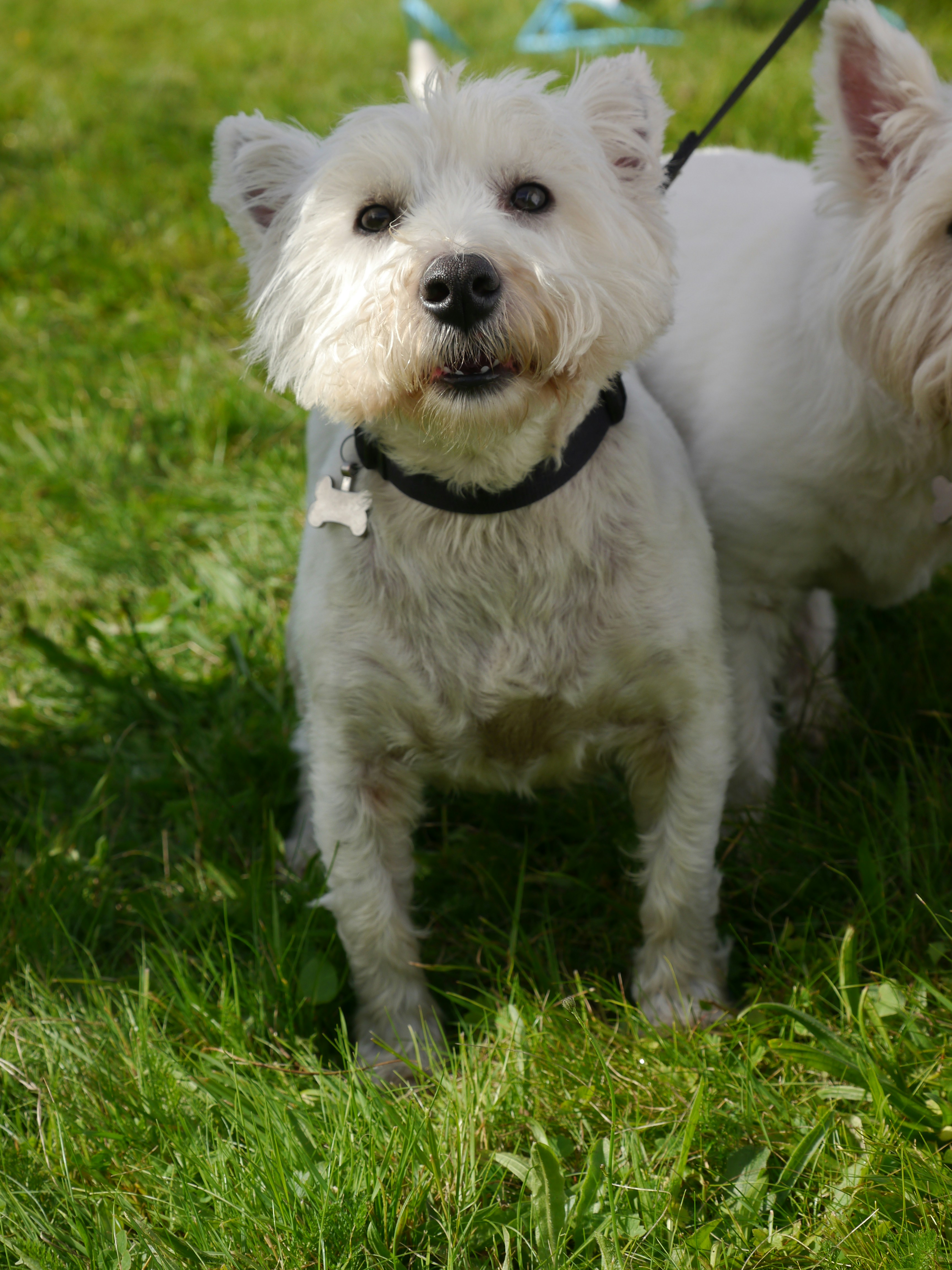 Photo by iqsphotography