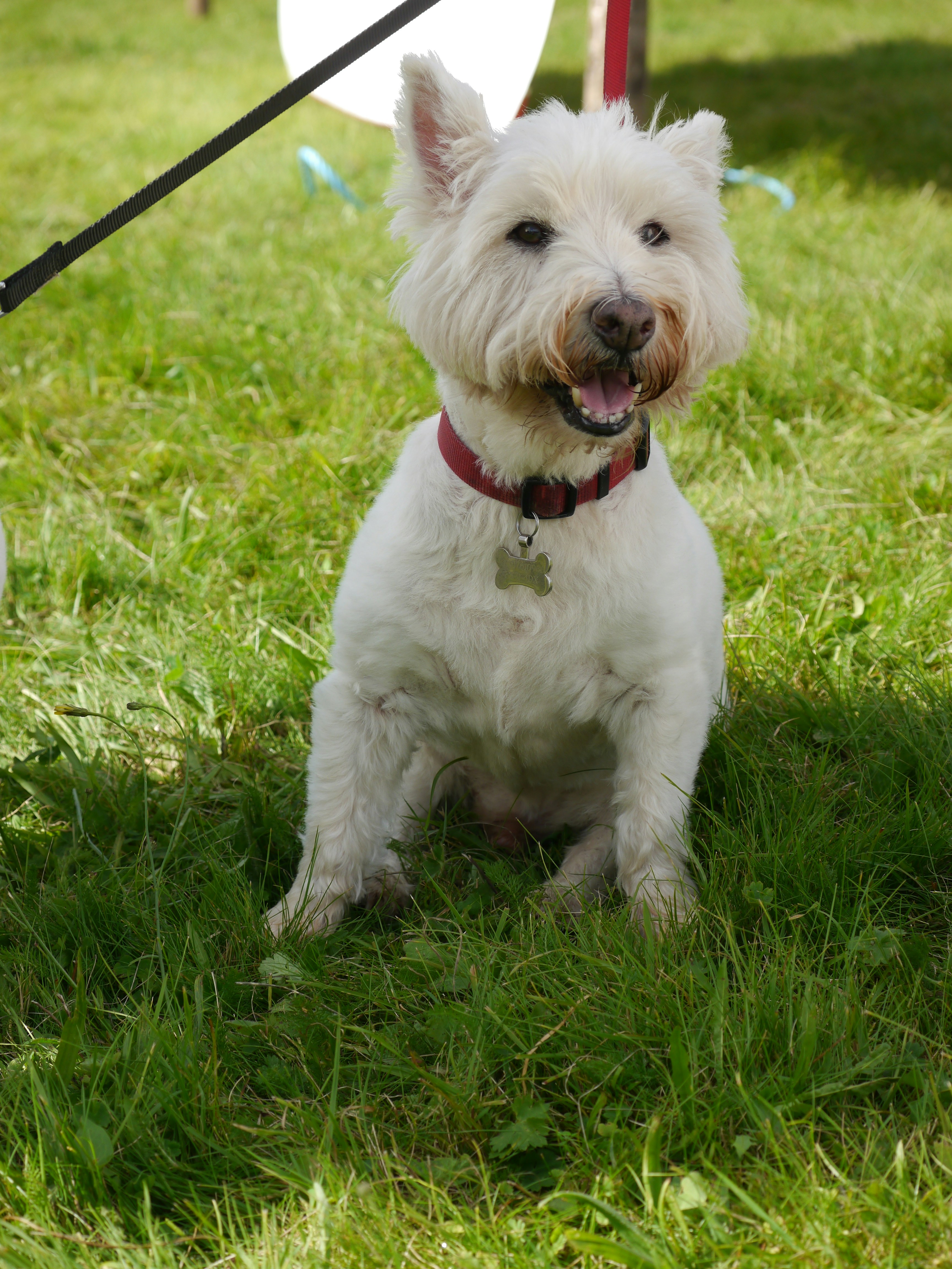 Photo by iqsphotography