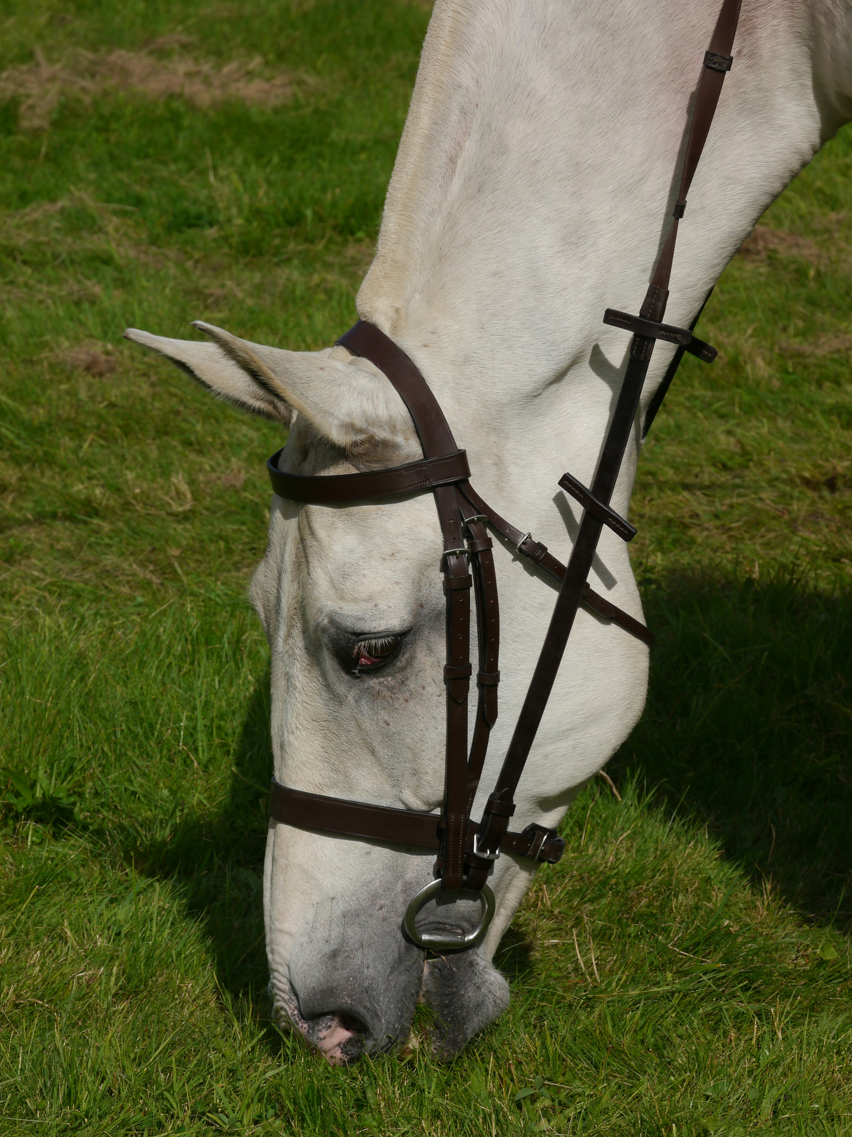 Photo by iqsphotography