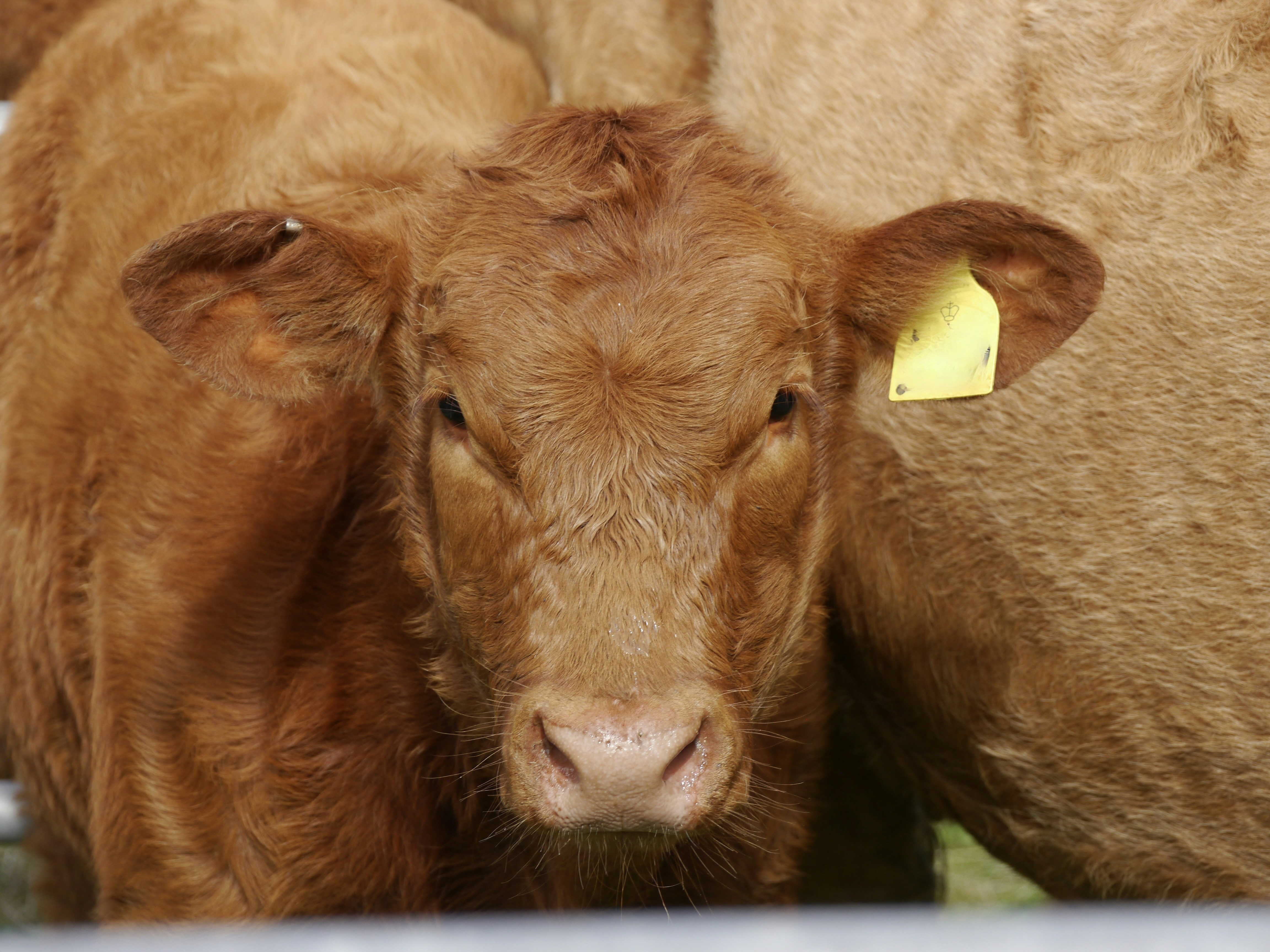 Photo by iqsphotography