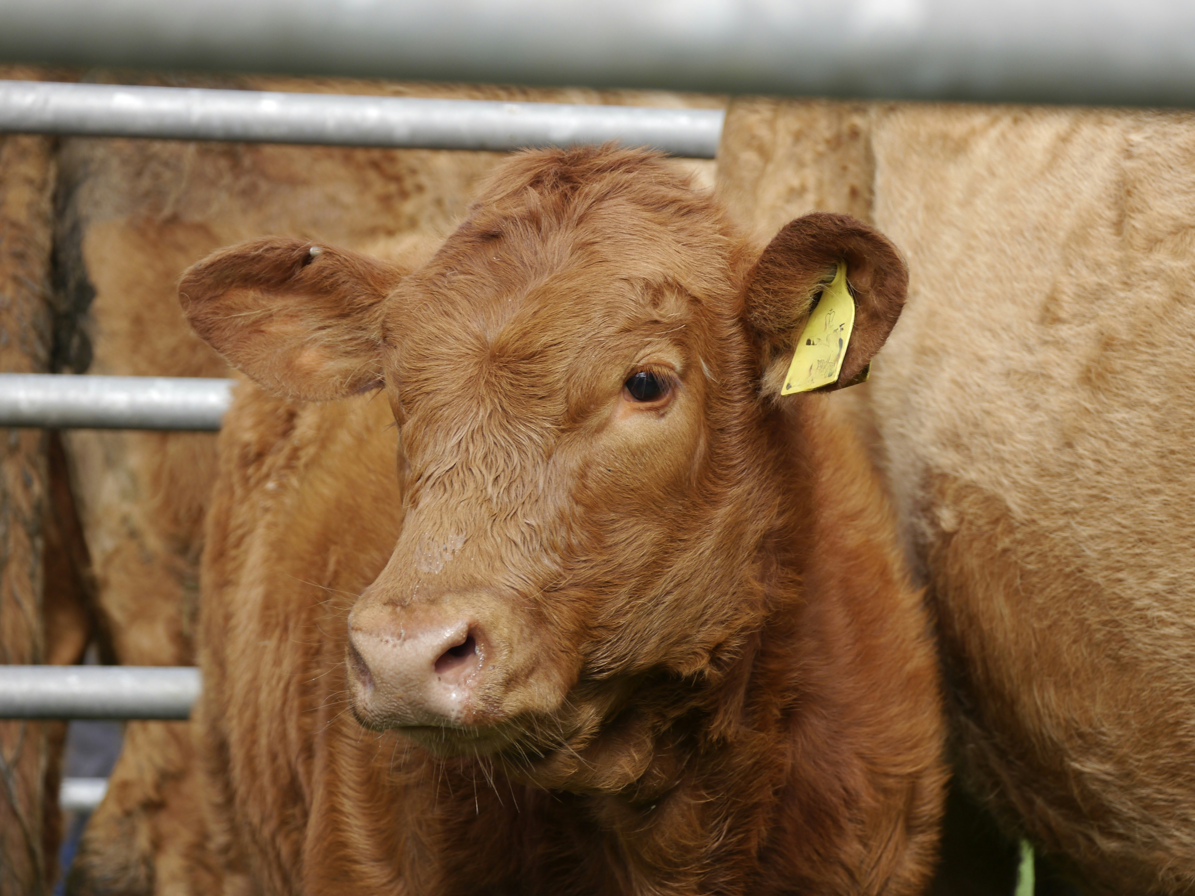 Photo by iqsphotography