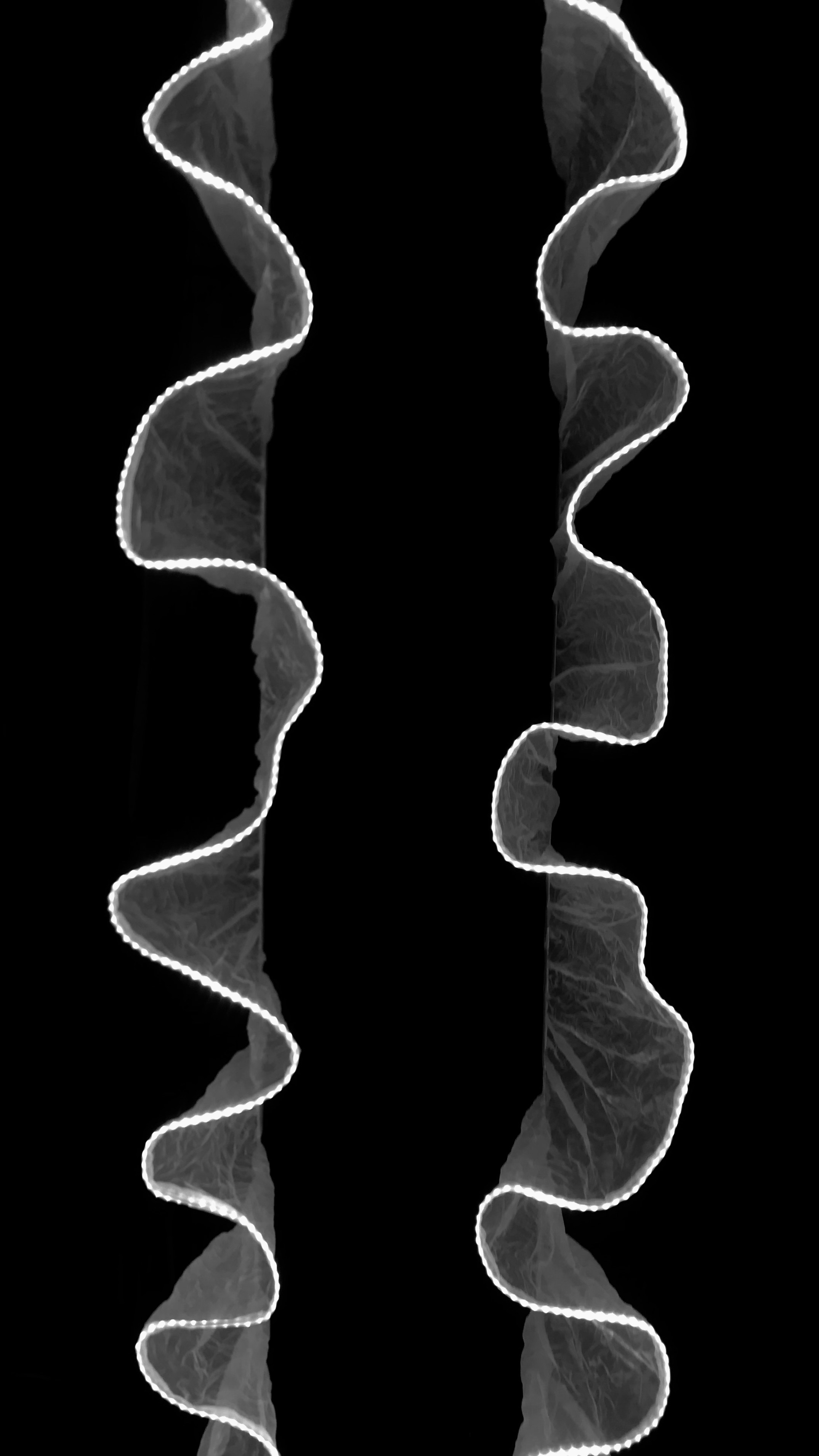 Photo by axelbimashanda