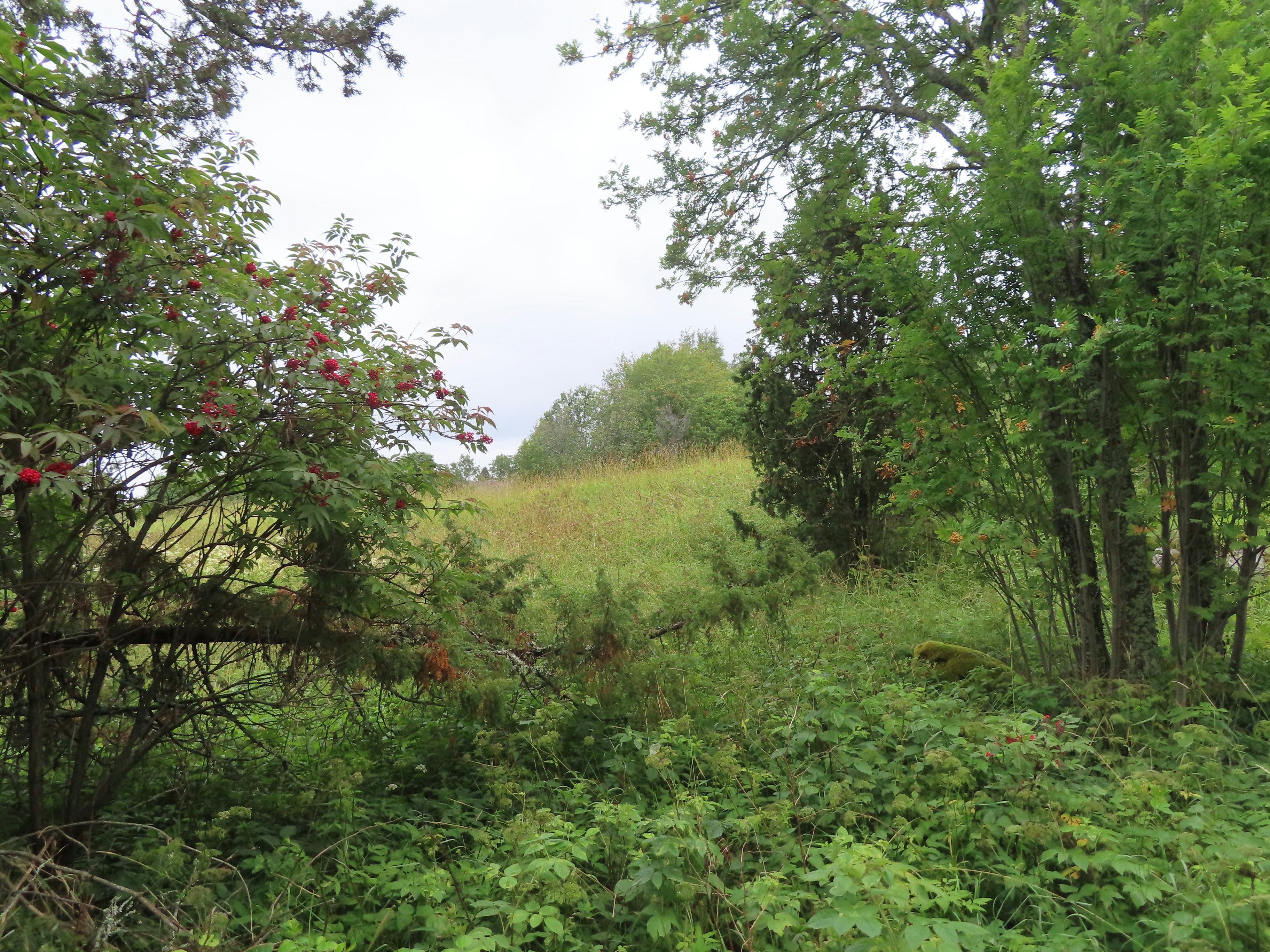 Photo by northernpagan