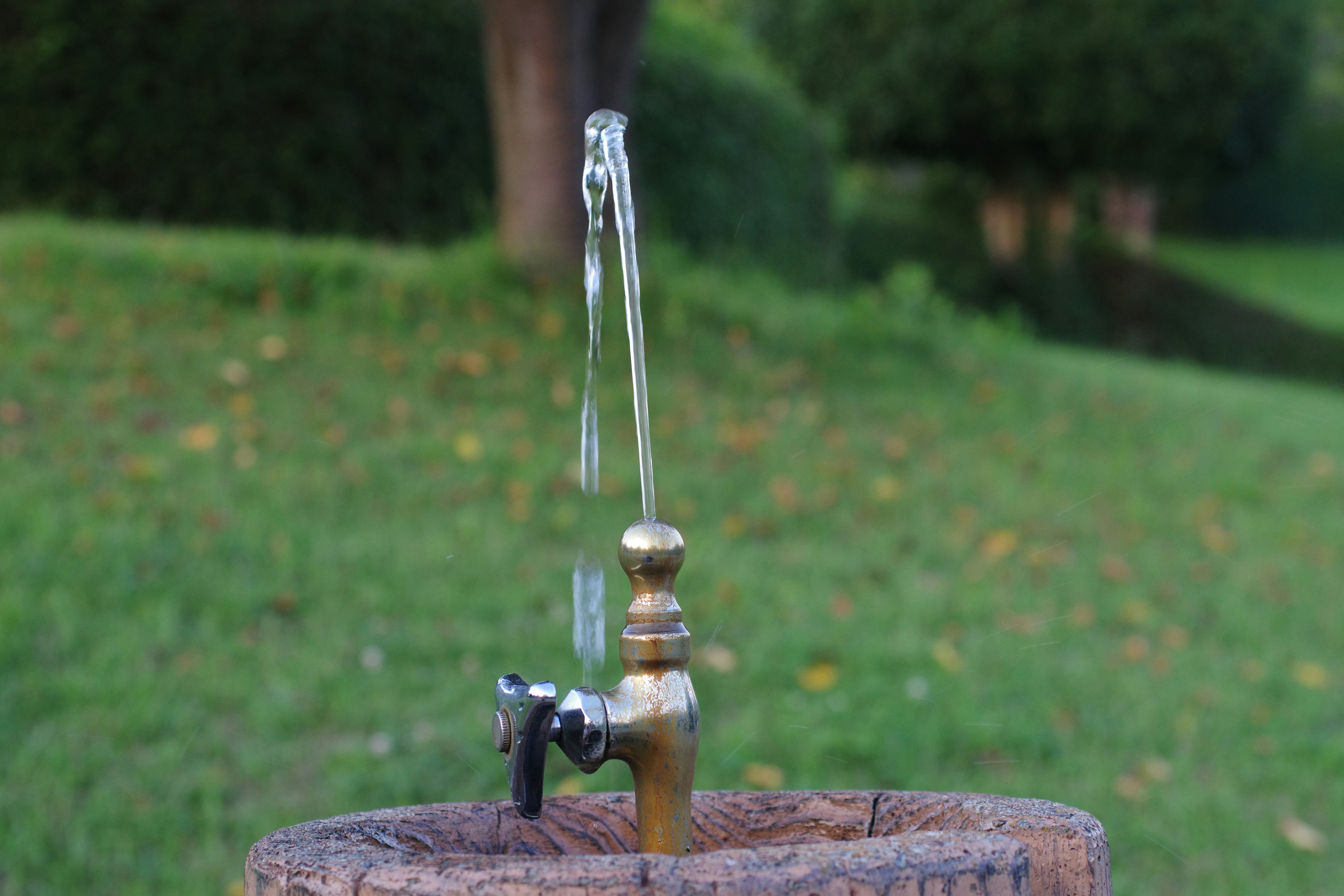 photo 1721474966322 52f05304e3c5?crop=entropy&cs=tinysrgb&fit=max&fm=jpg&ixid=M3w1MjQ0NjR8MHwxfHNlYXJjaHw4fHxESVklMjBXYXRlciUyMERpc3RpbGxlcnxlbnwwfDB8fHwxNzUxNDU3OTE5fDA&ixlib=rb 4.1