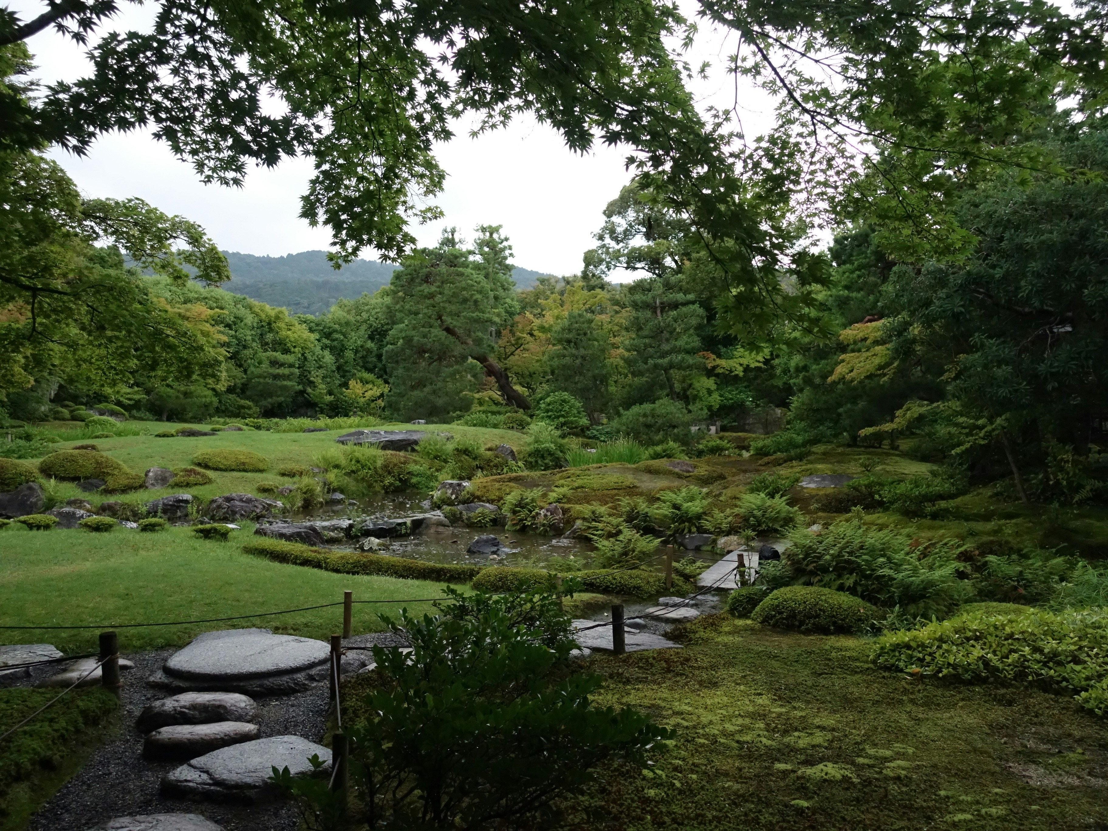 A lush green field with rocks and trees