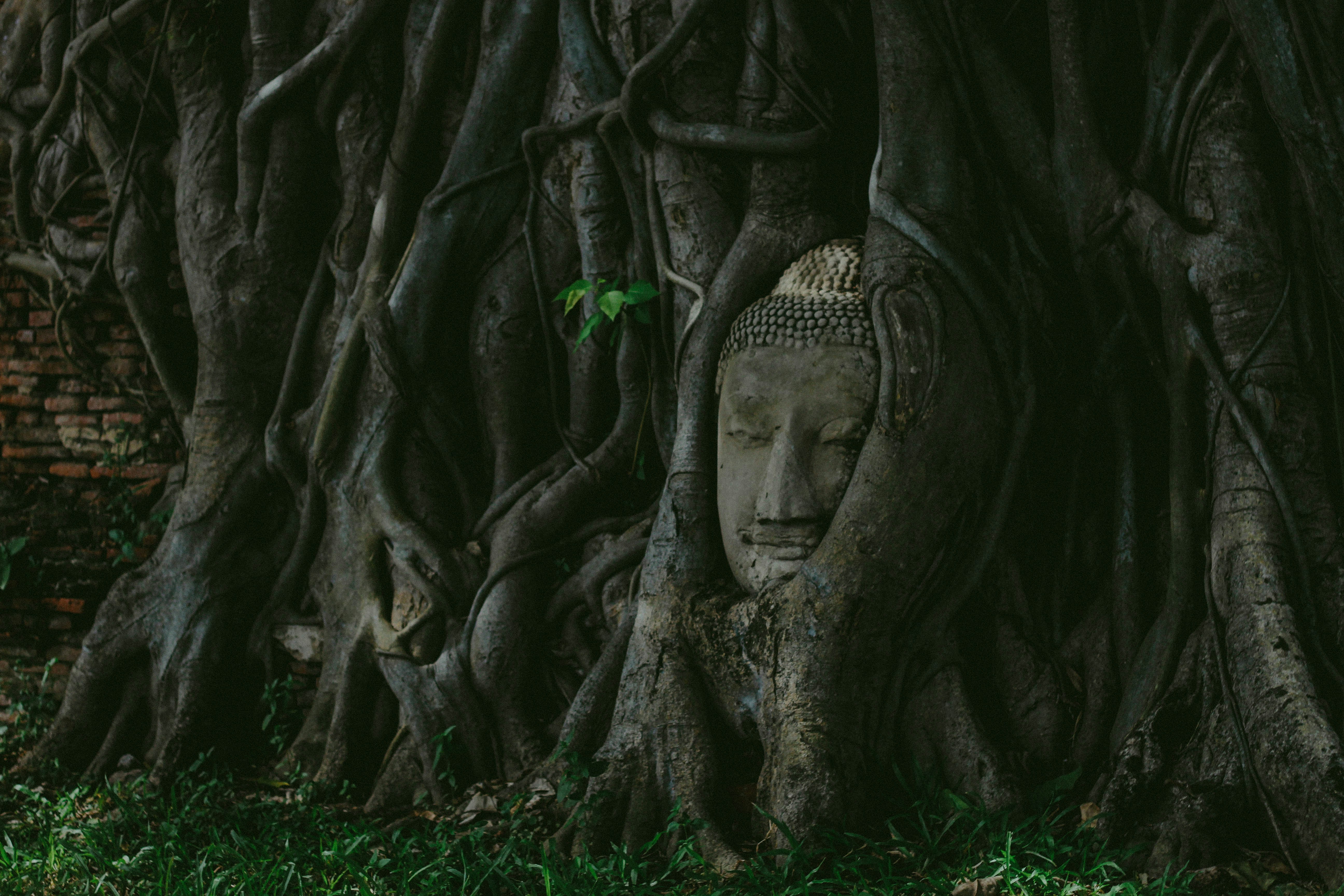 Photo by georgielink