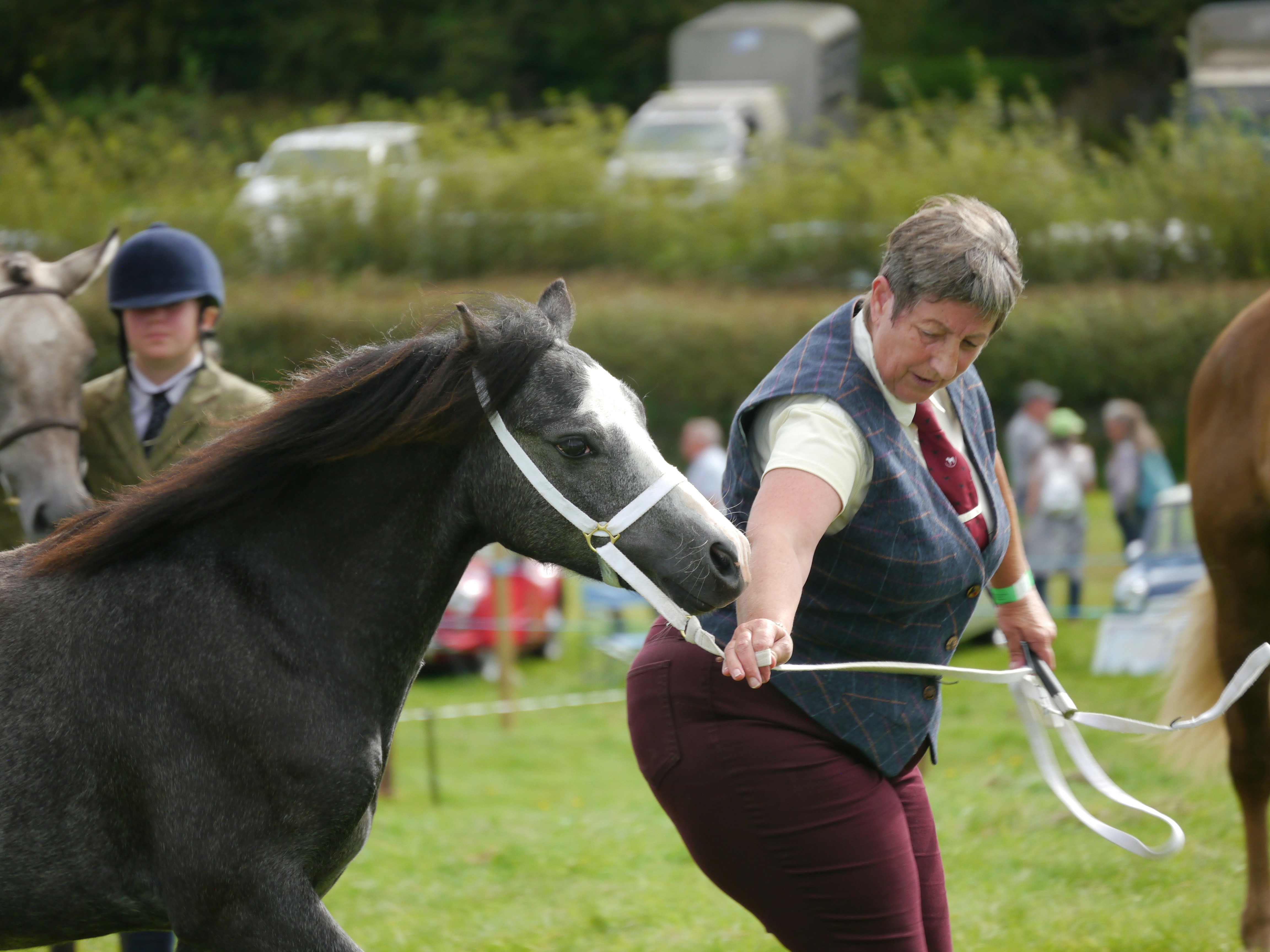 Photo by iqsphotography