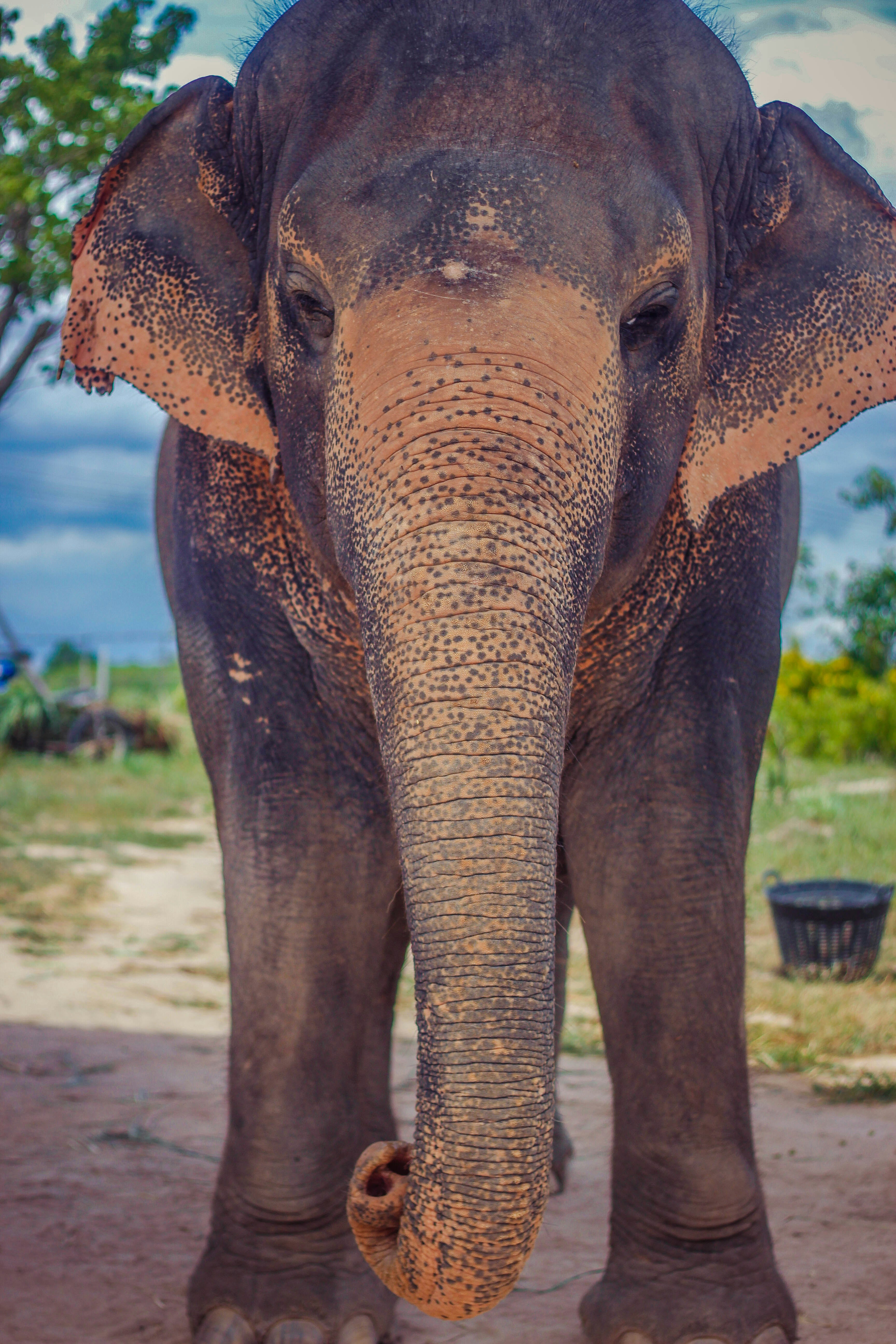 Photo by georgielink