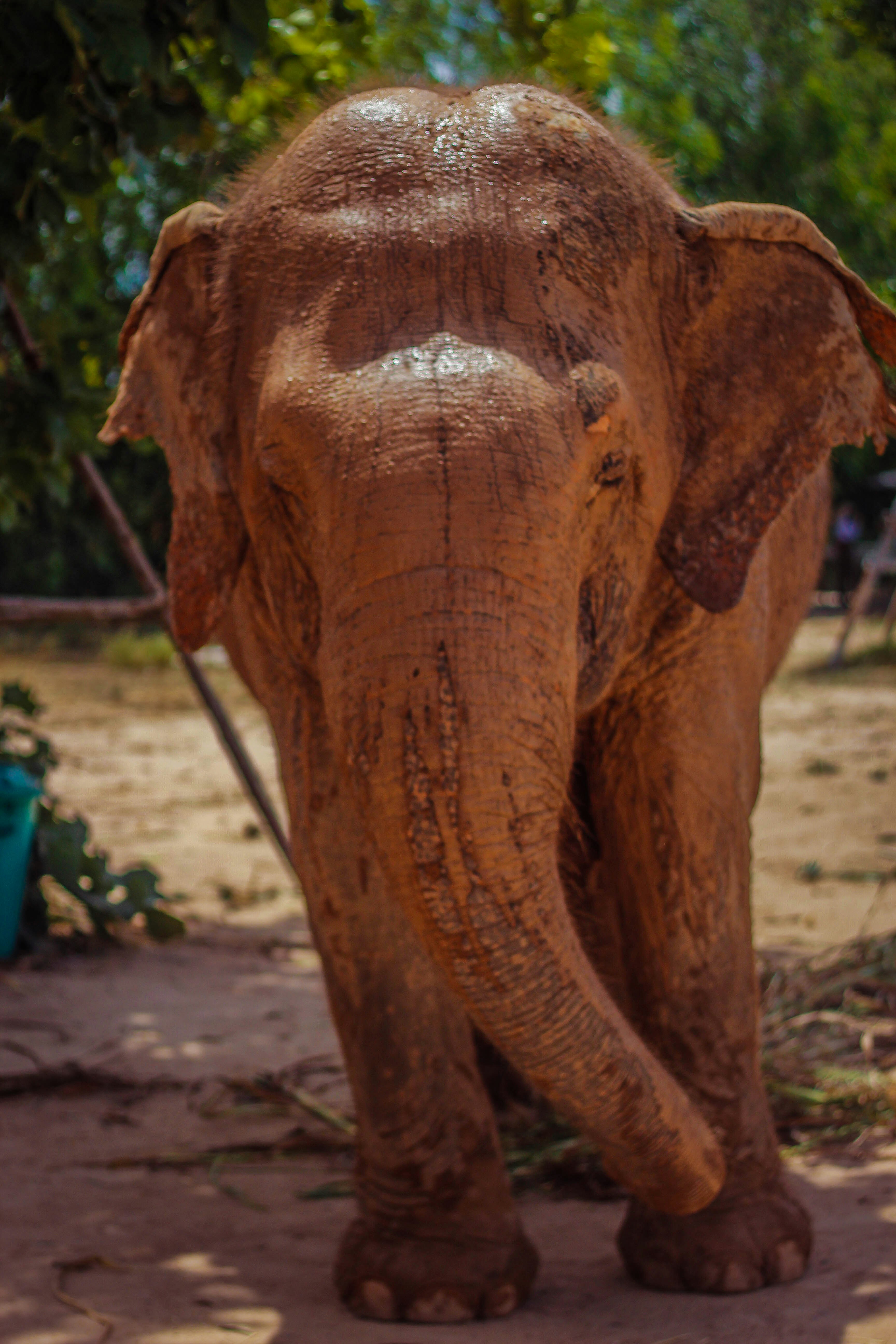 Photo by georgielink