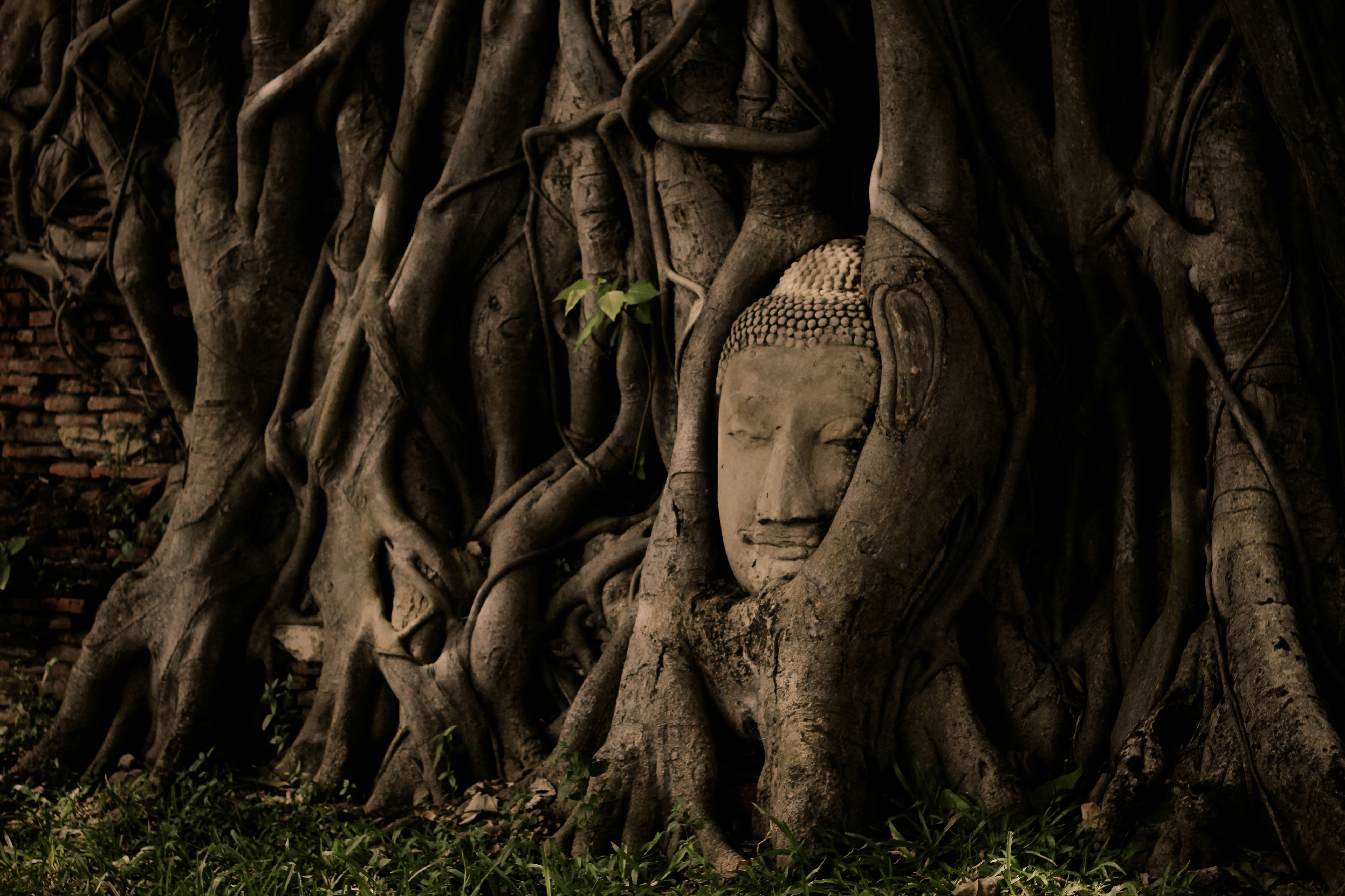 Photo by georgielink