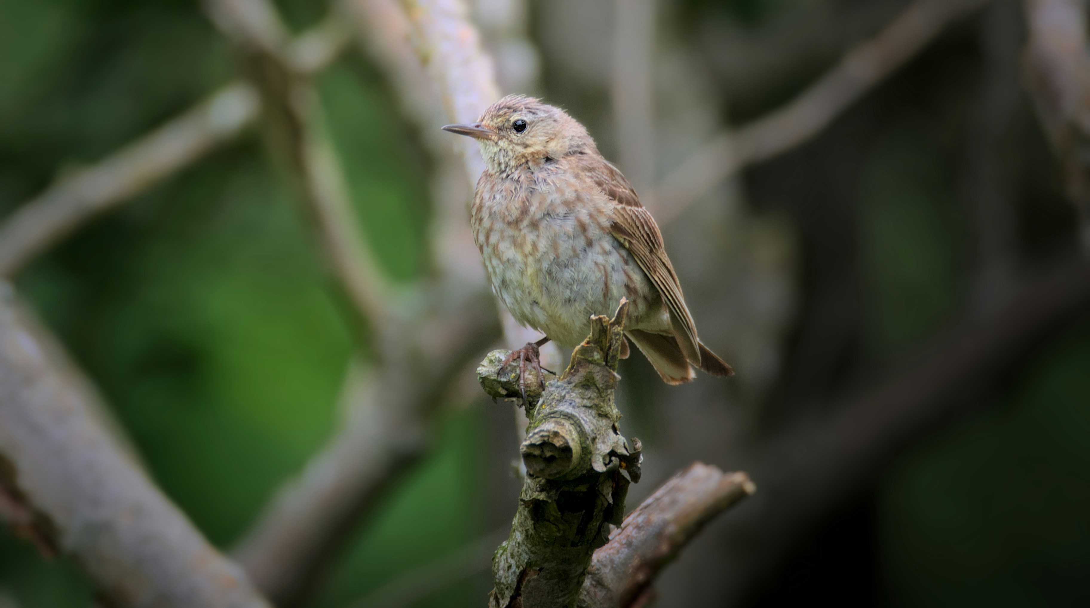 Photo by anna_storsul