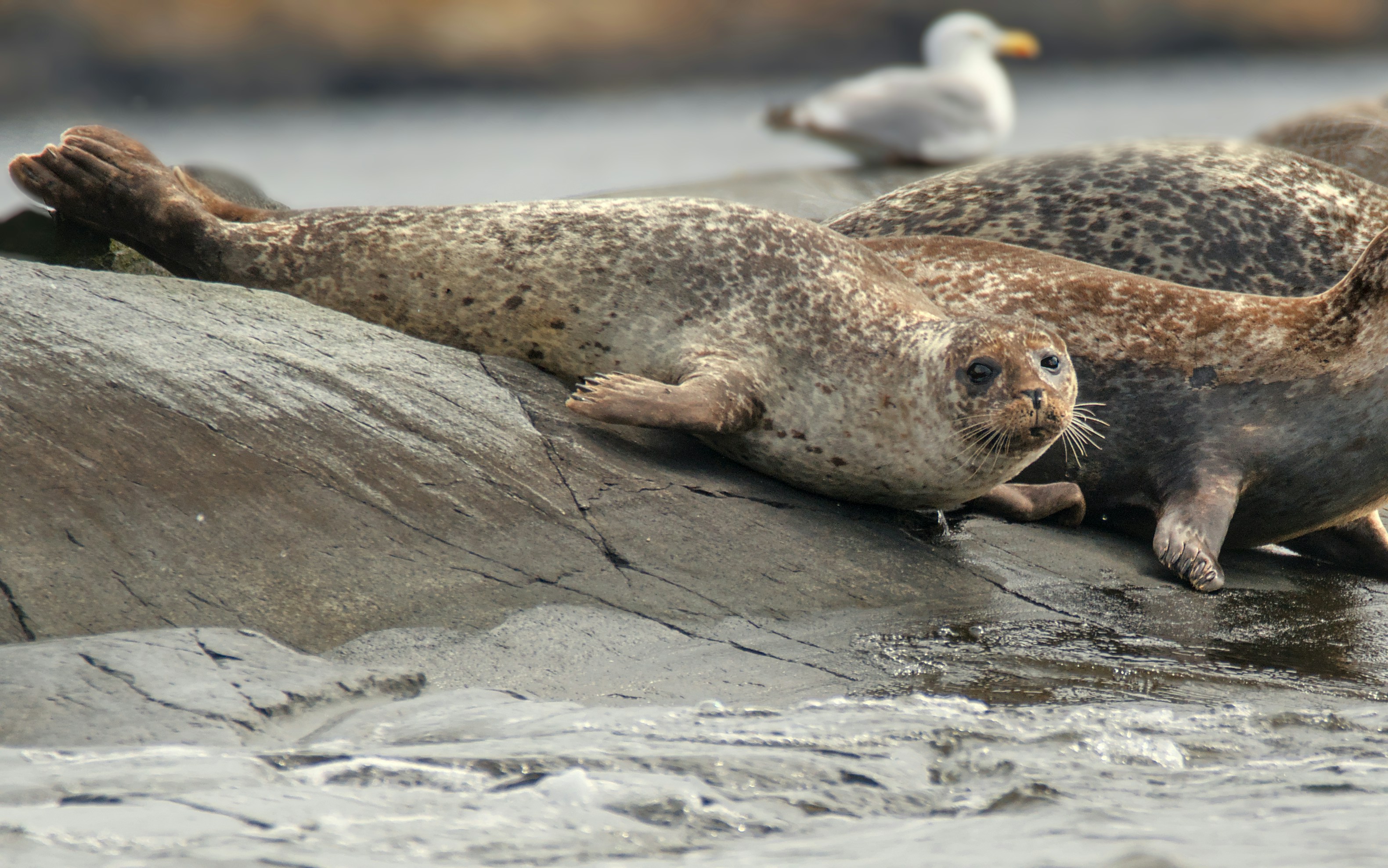 Photo by anna_storsul