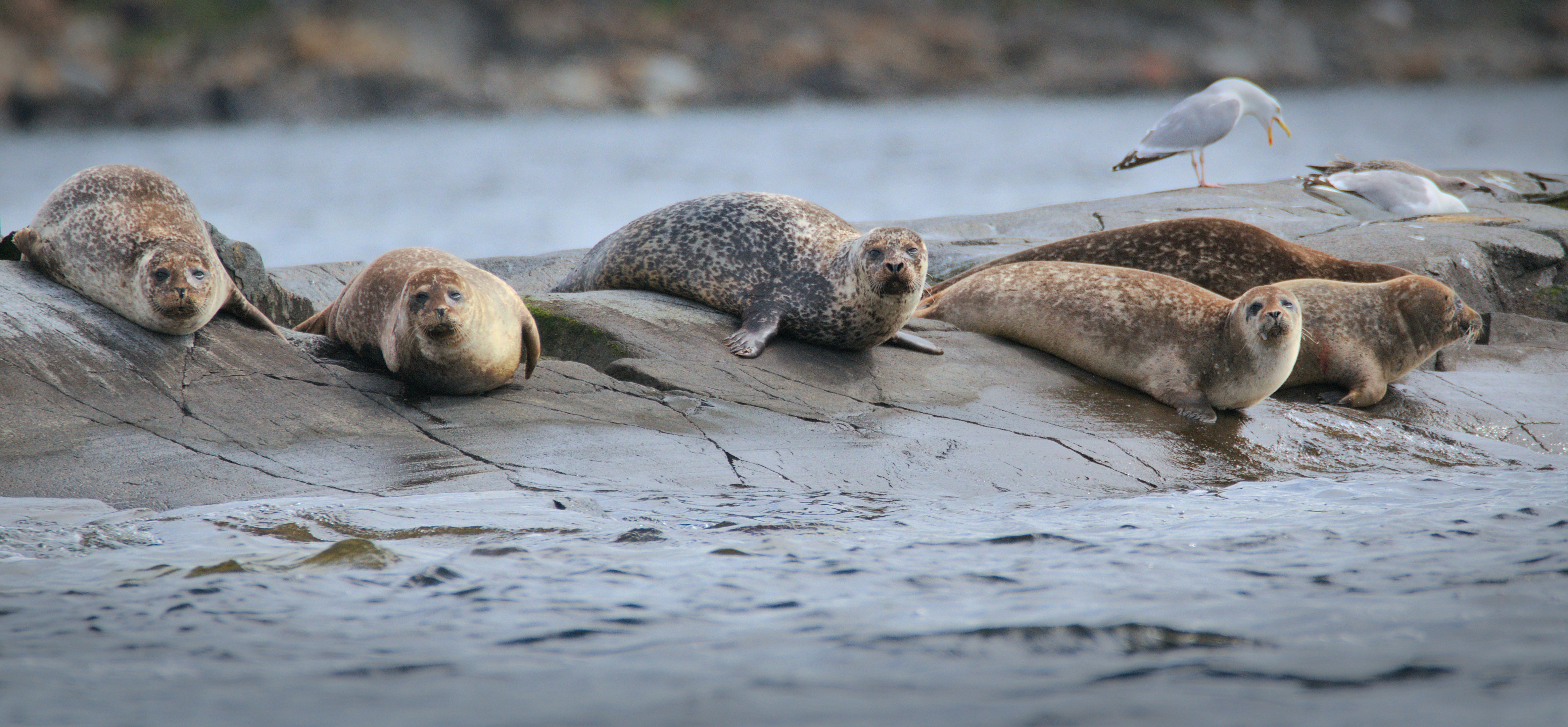 Photo by anna_storsul