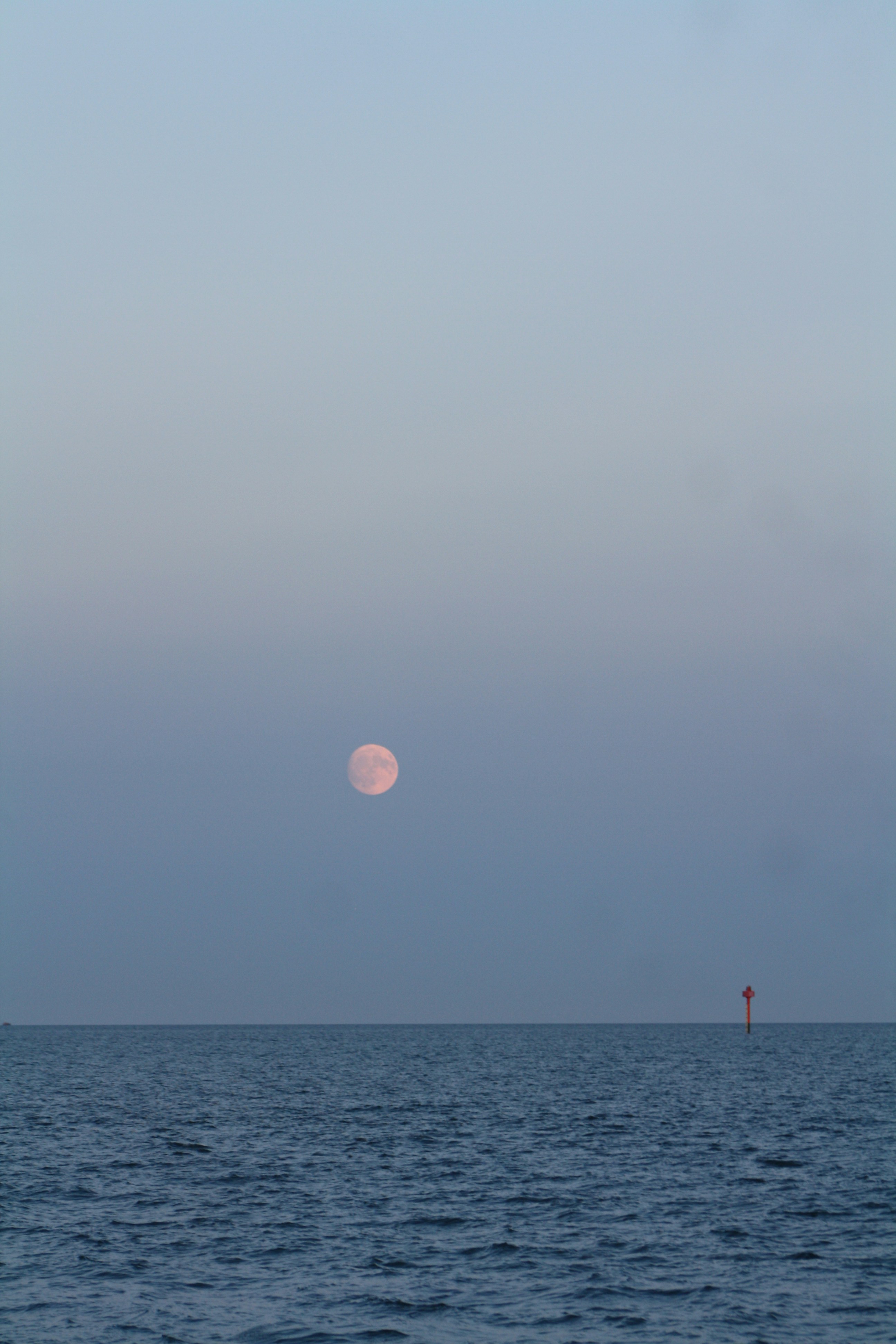 Photo by bruno_caetanos_photography