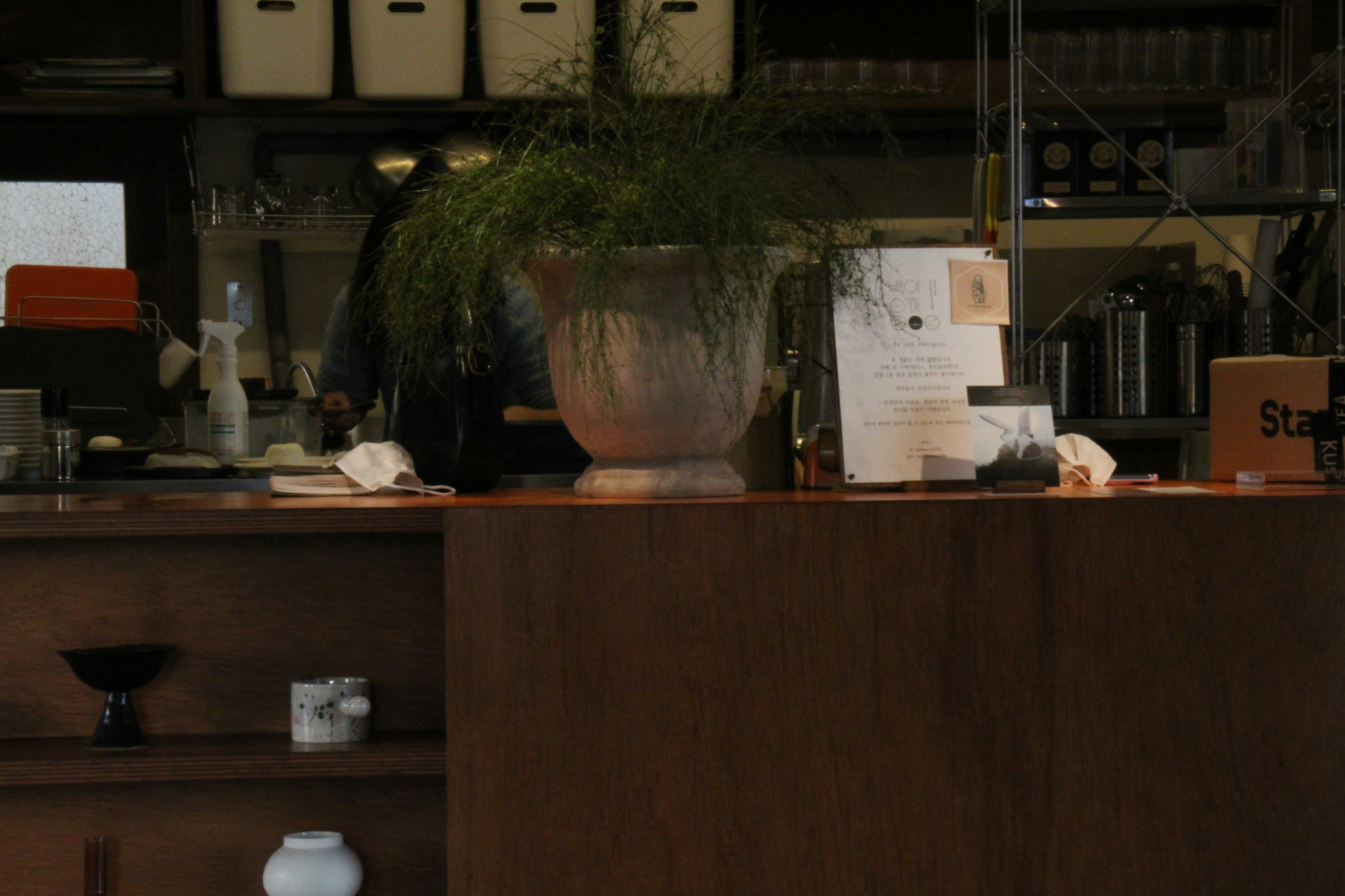 Counter with potted plant