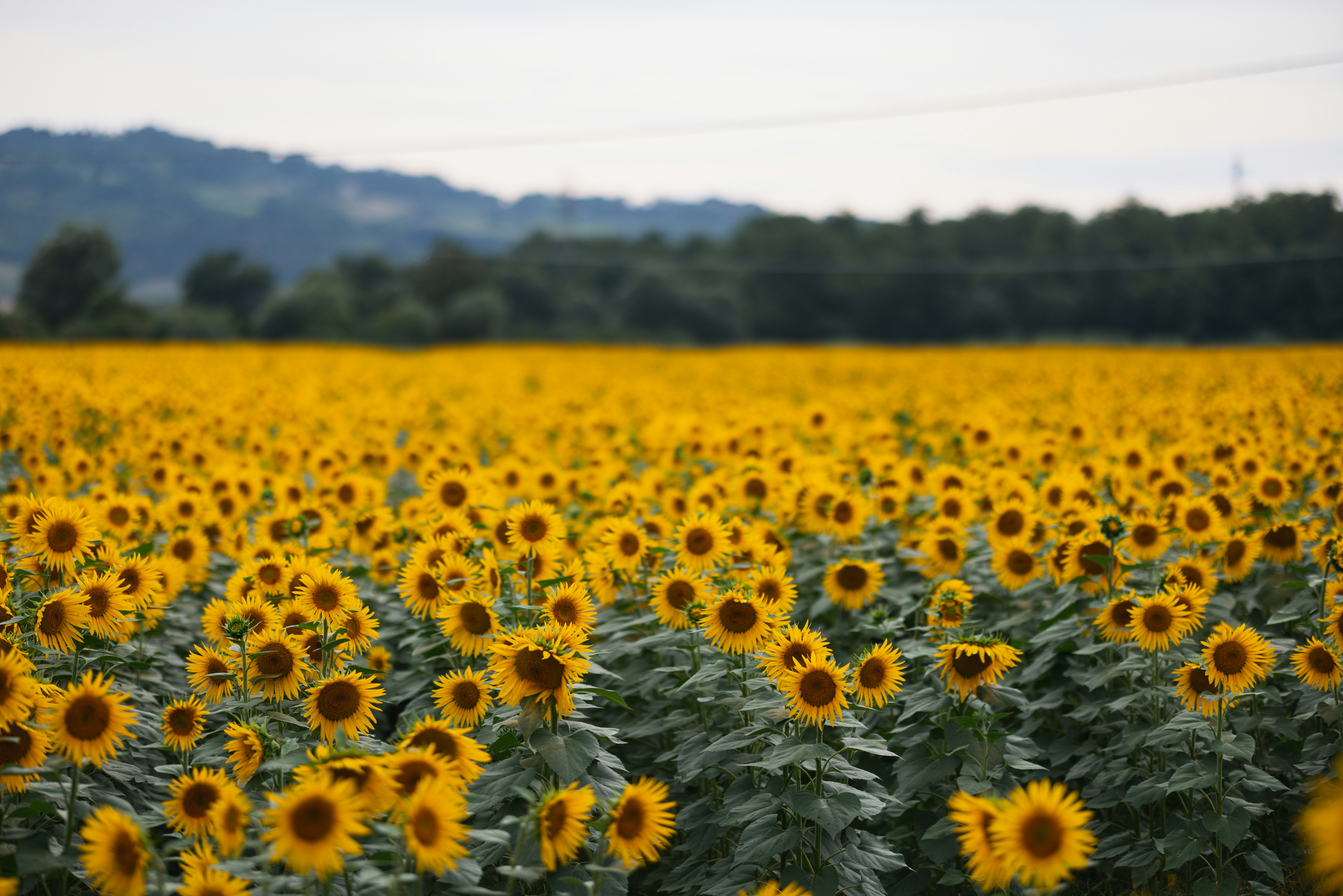 Photo by christian_dubendorfer