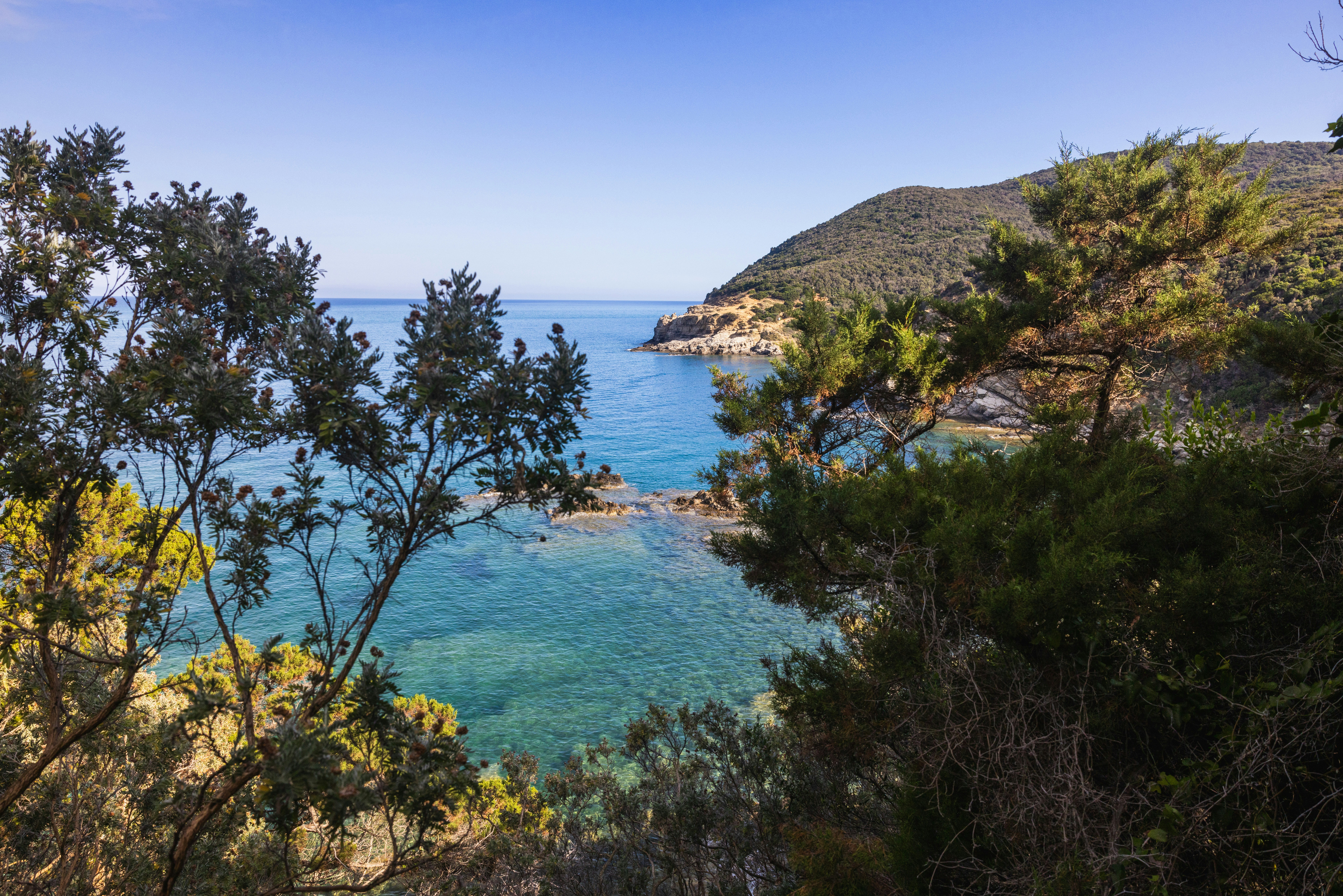 Photo by christian_dubendorfer