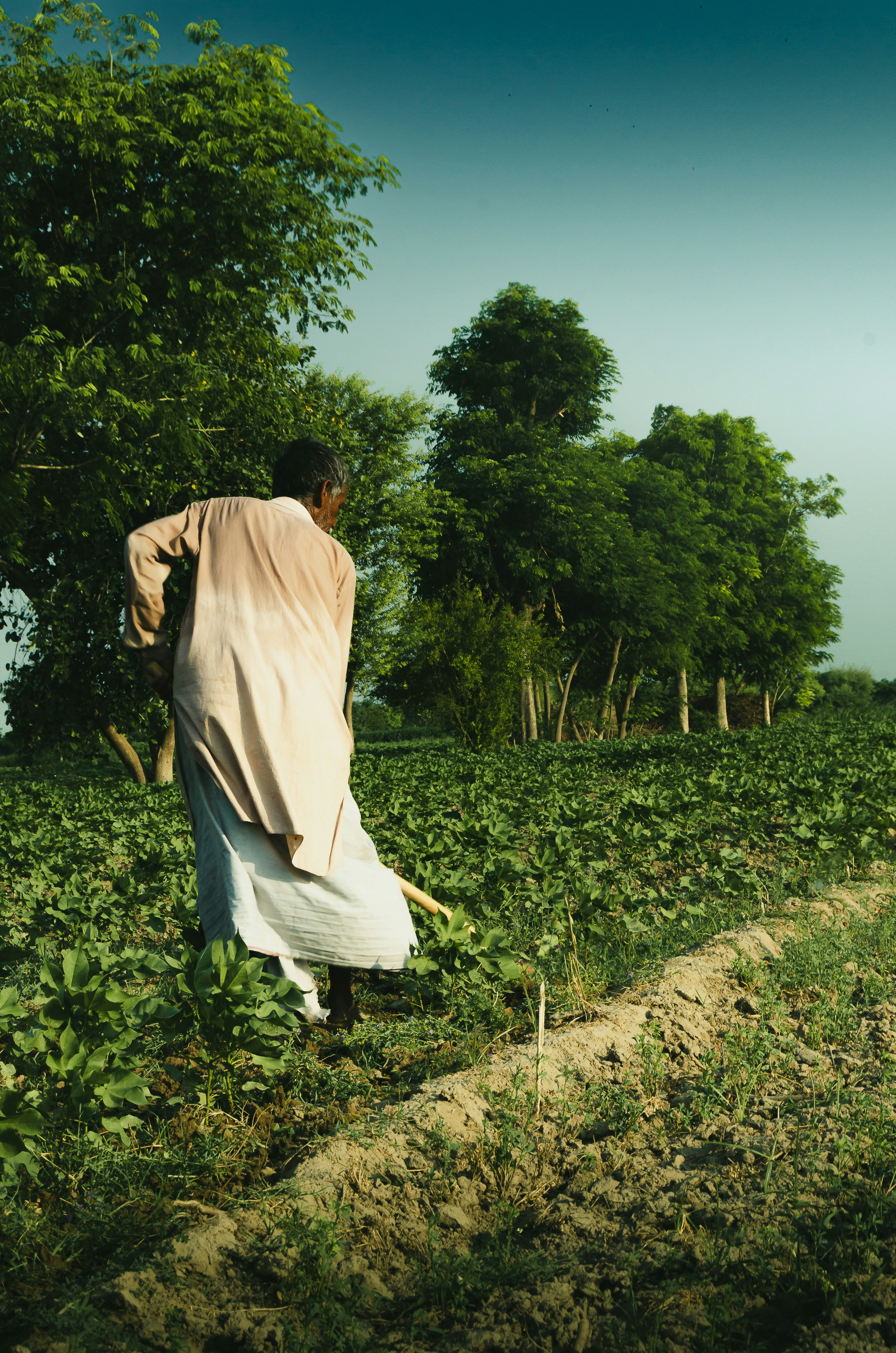 Photo by _umar_shahzad_