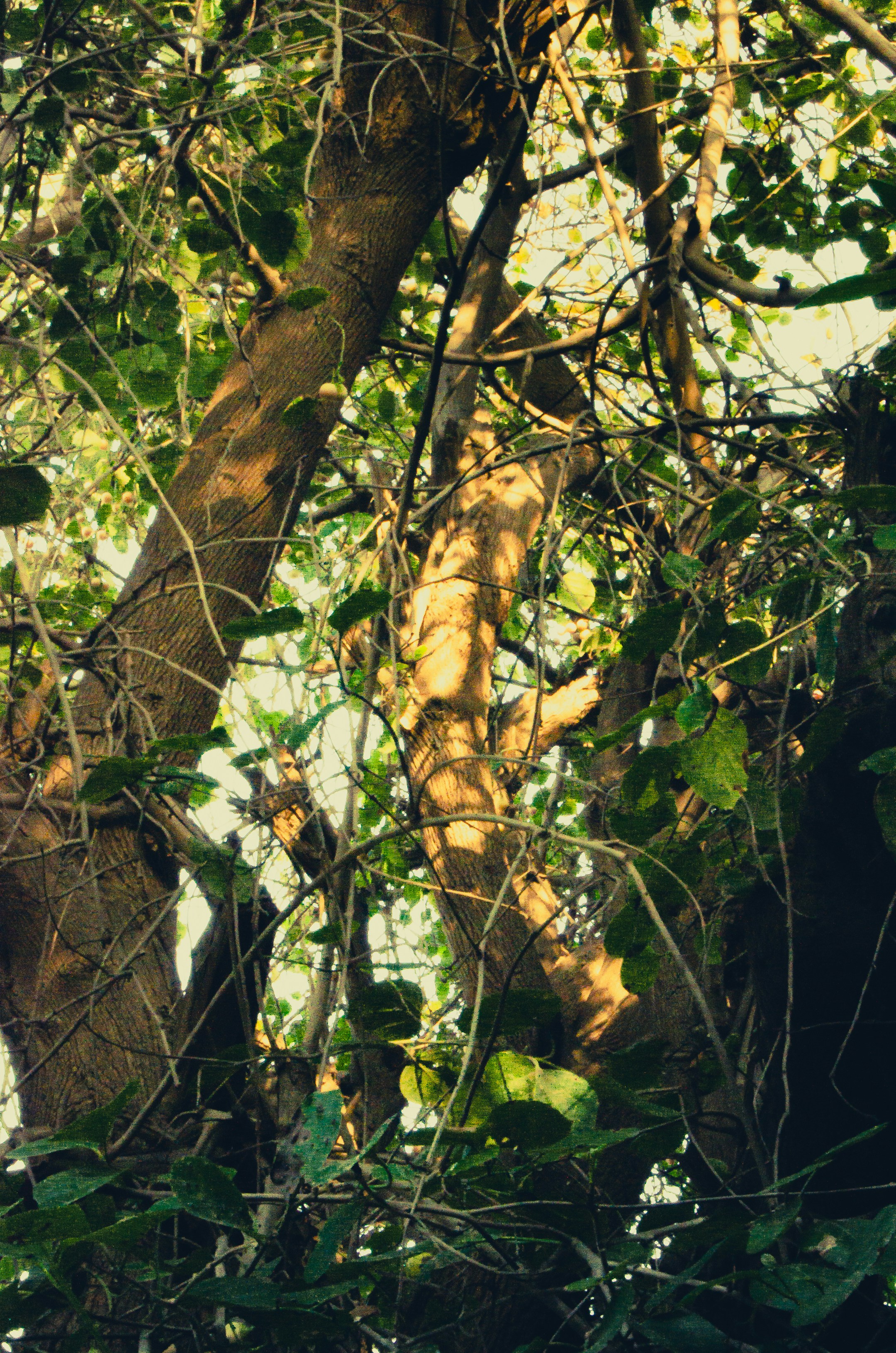 Photo by _umar_shahzad_