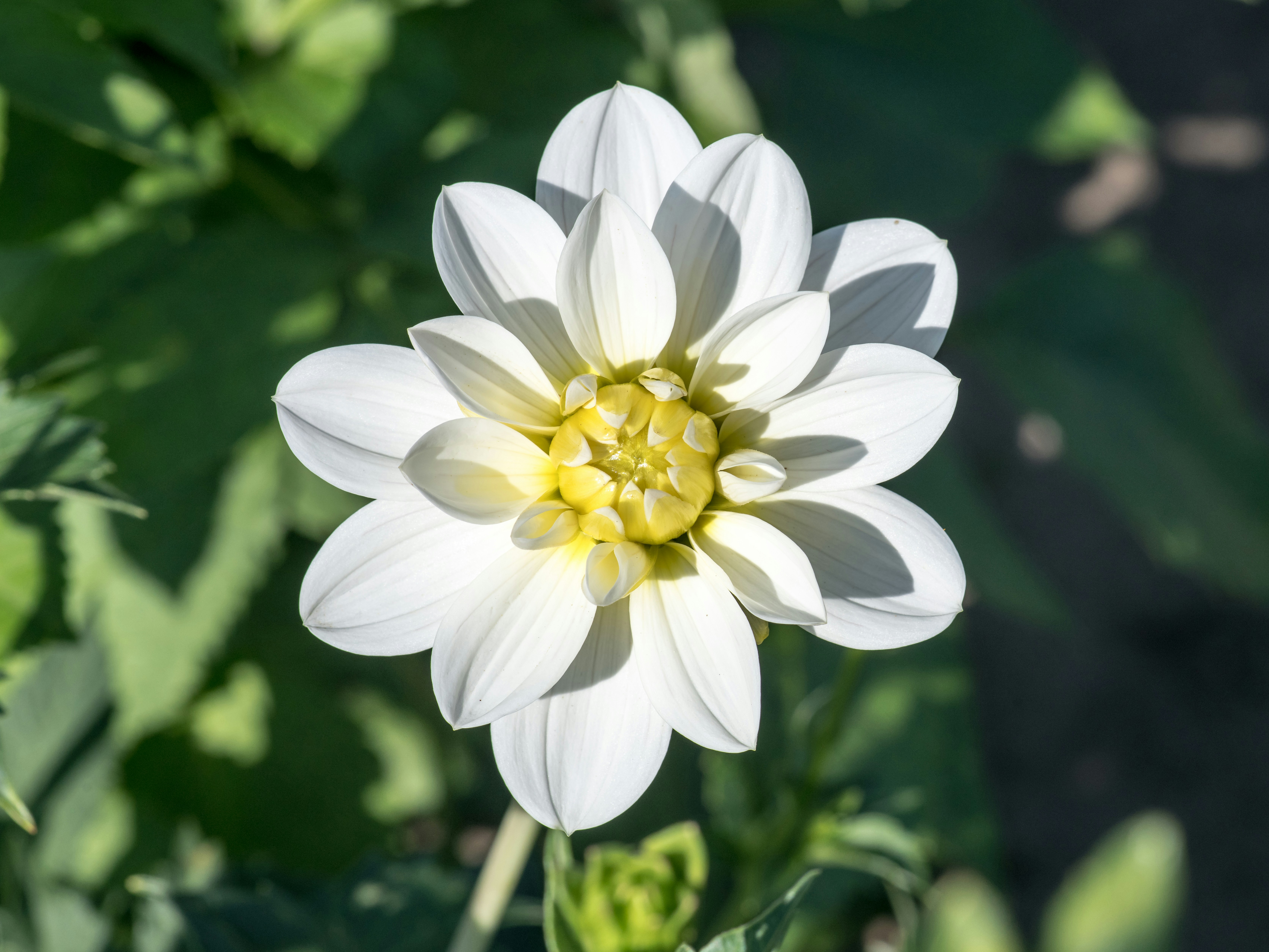 Photo by hamburgmeinefreundin