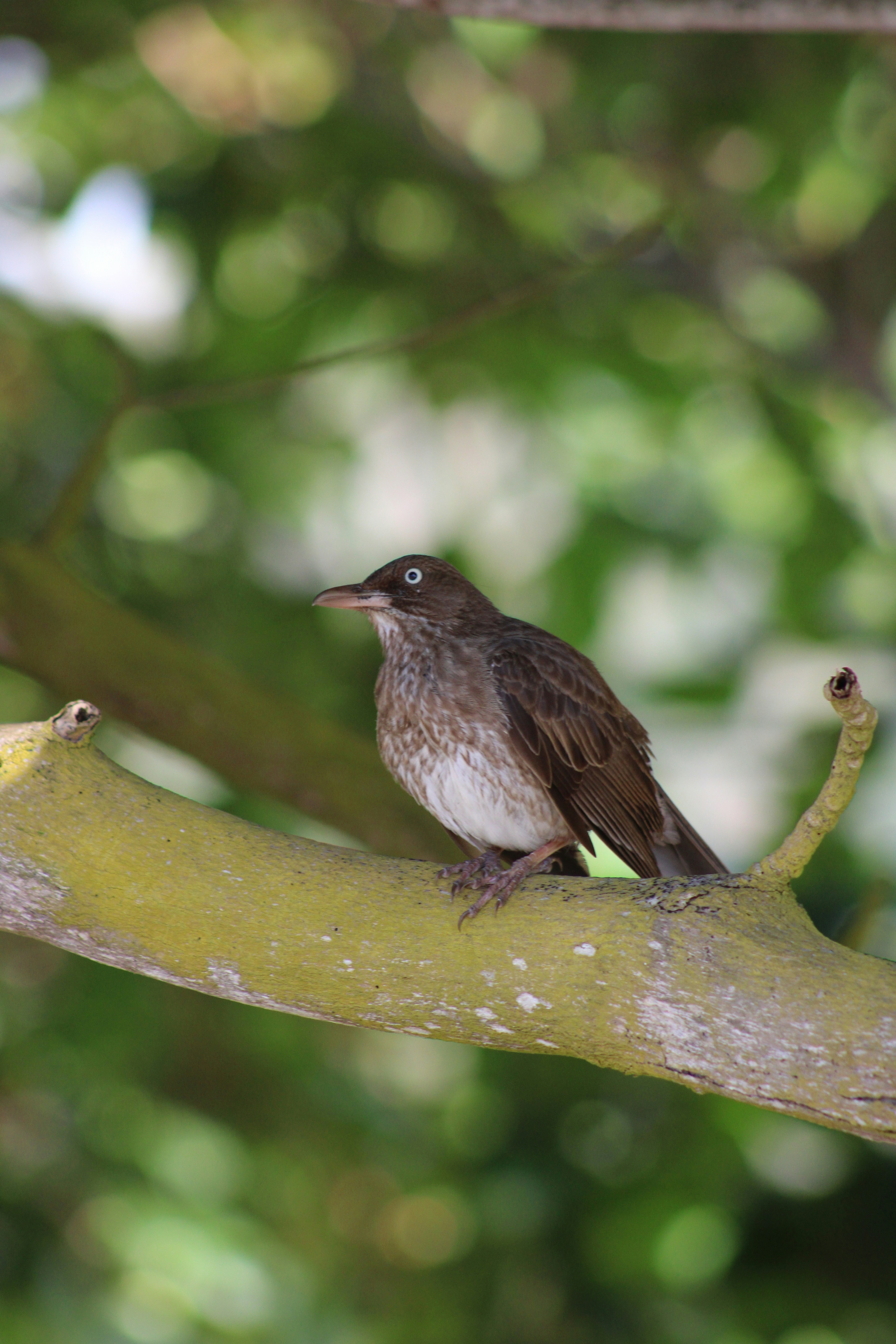 Photo by loaizaperez