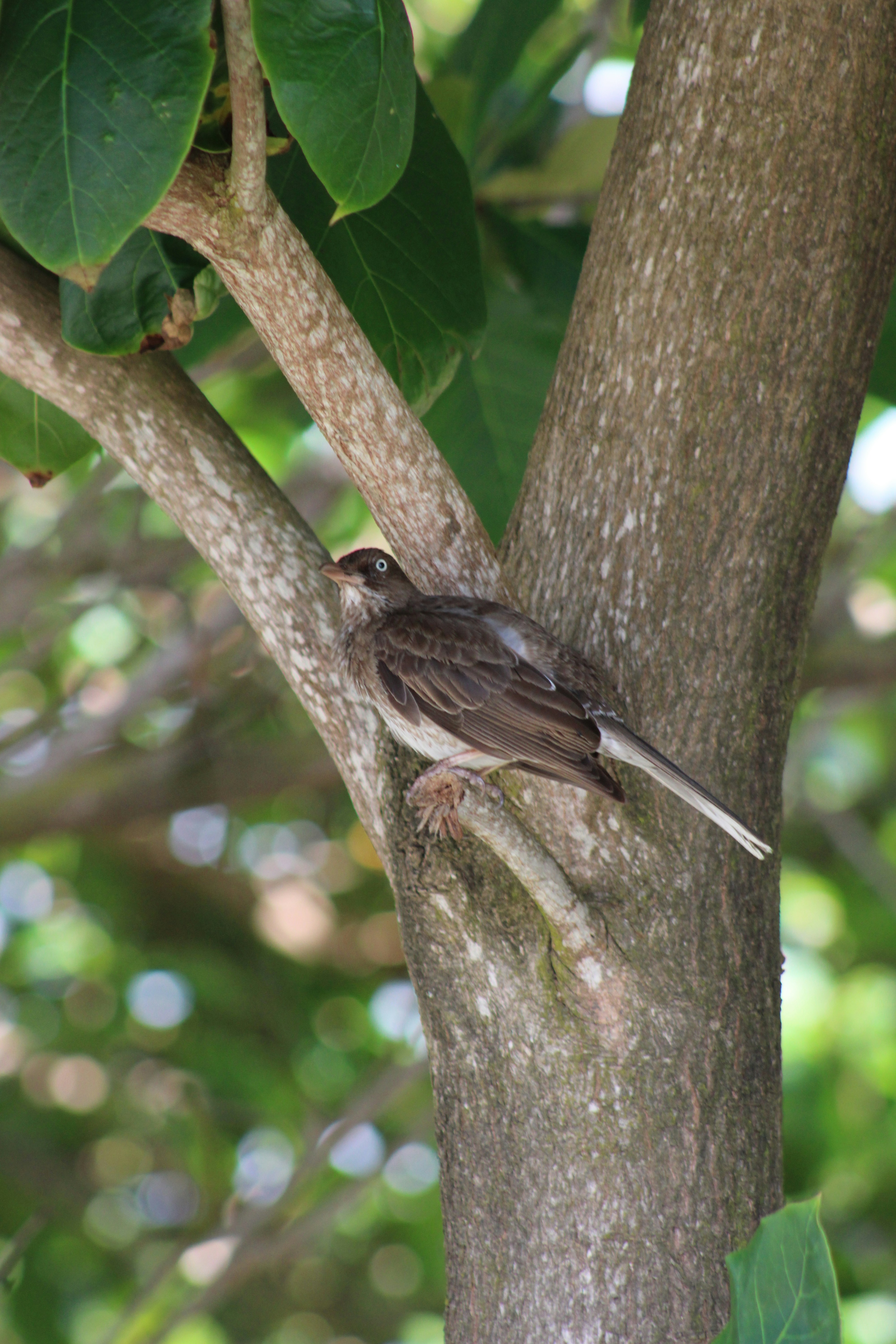 Photo by loaizaperez