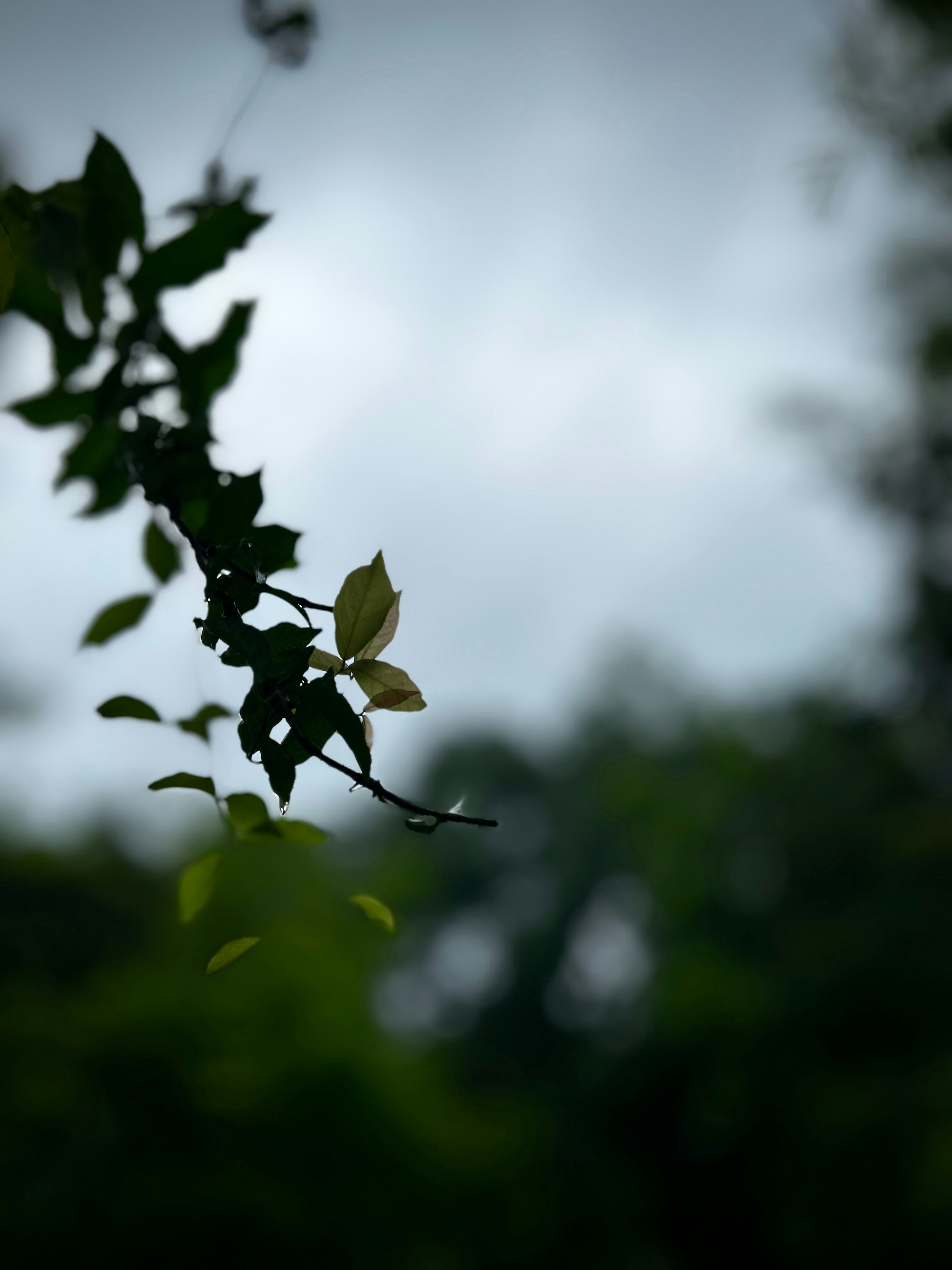 Photo by sparsh_2703