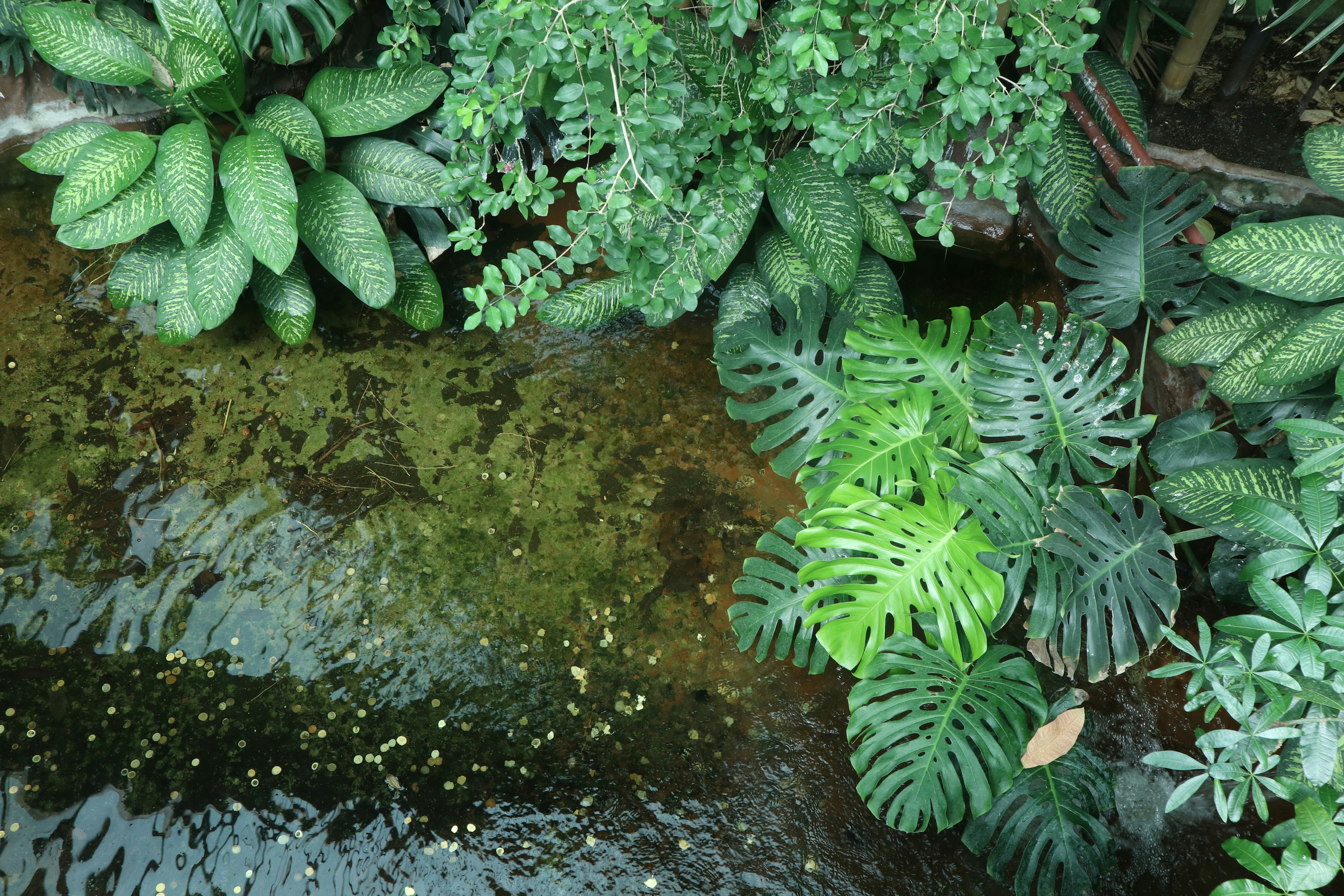 Photo by balint_miko