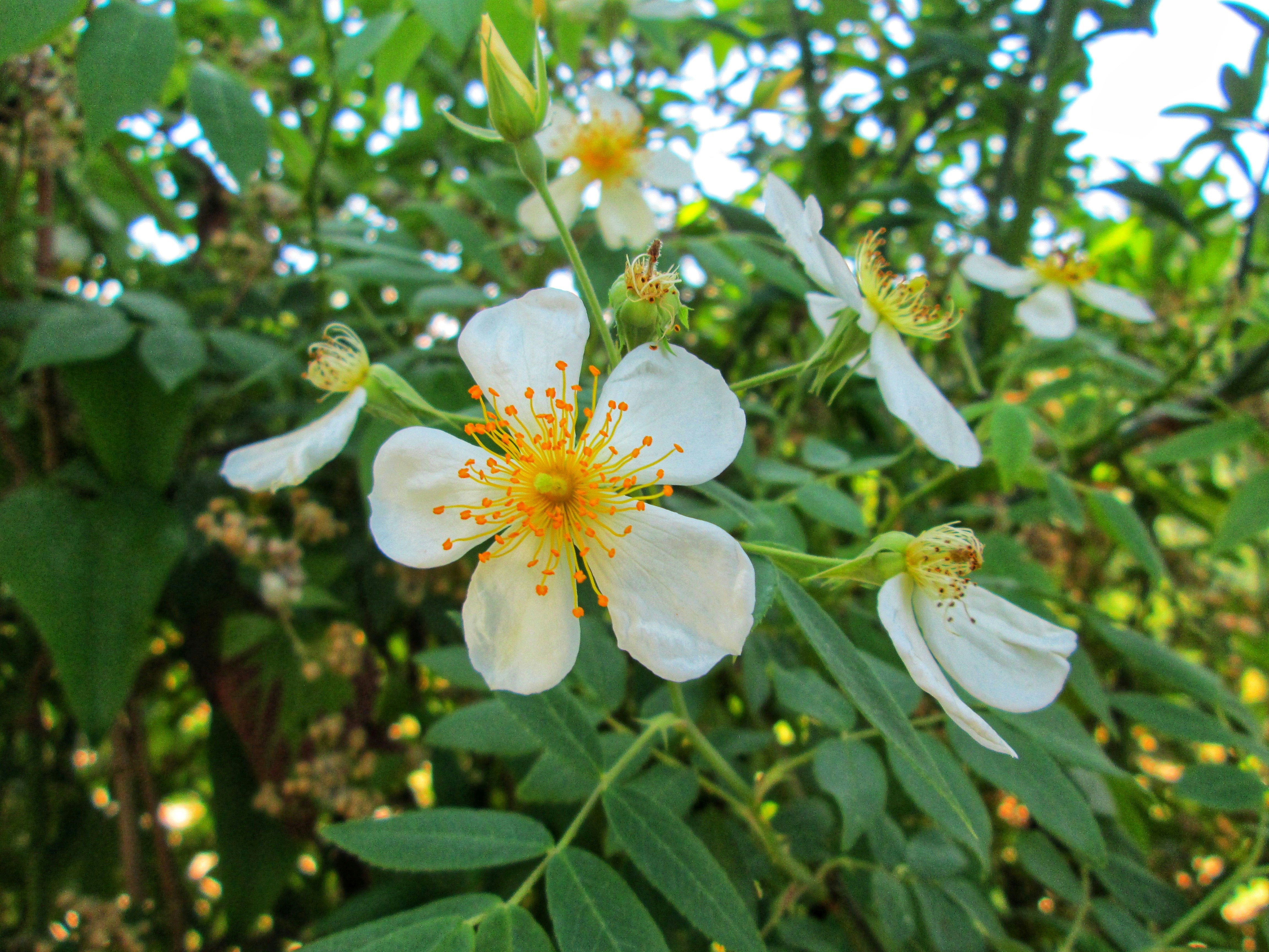 Photo by rishabh_tripathi