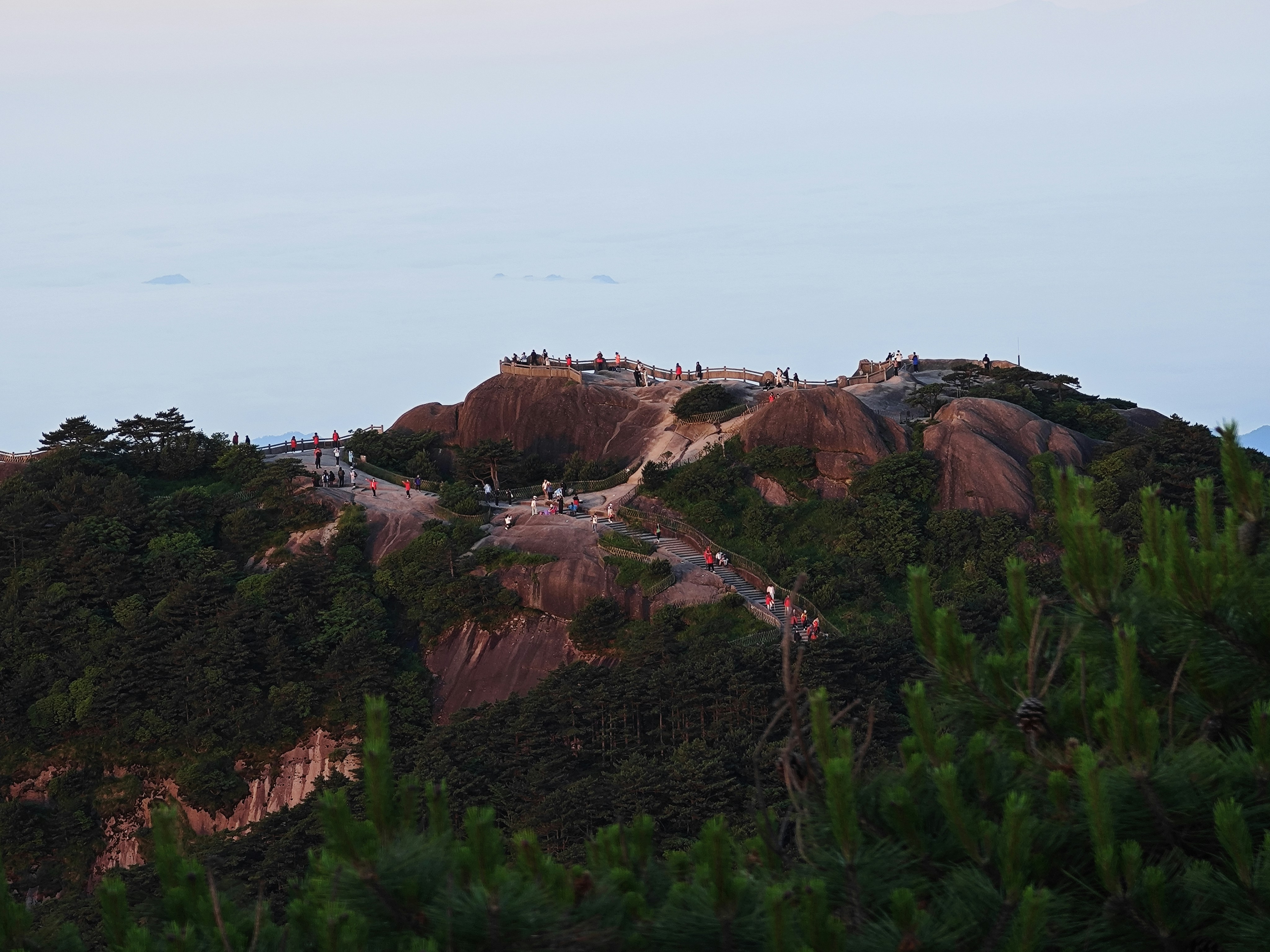 A view of a hill with trees on it