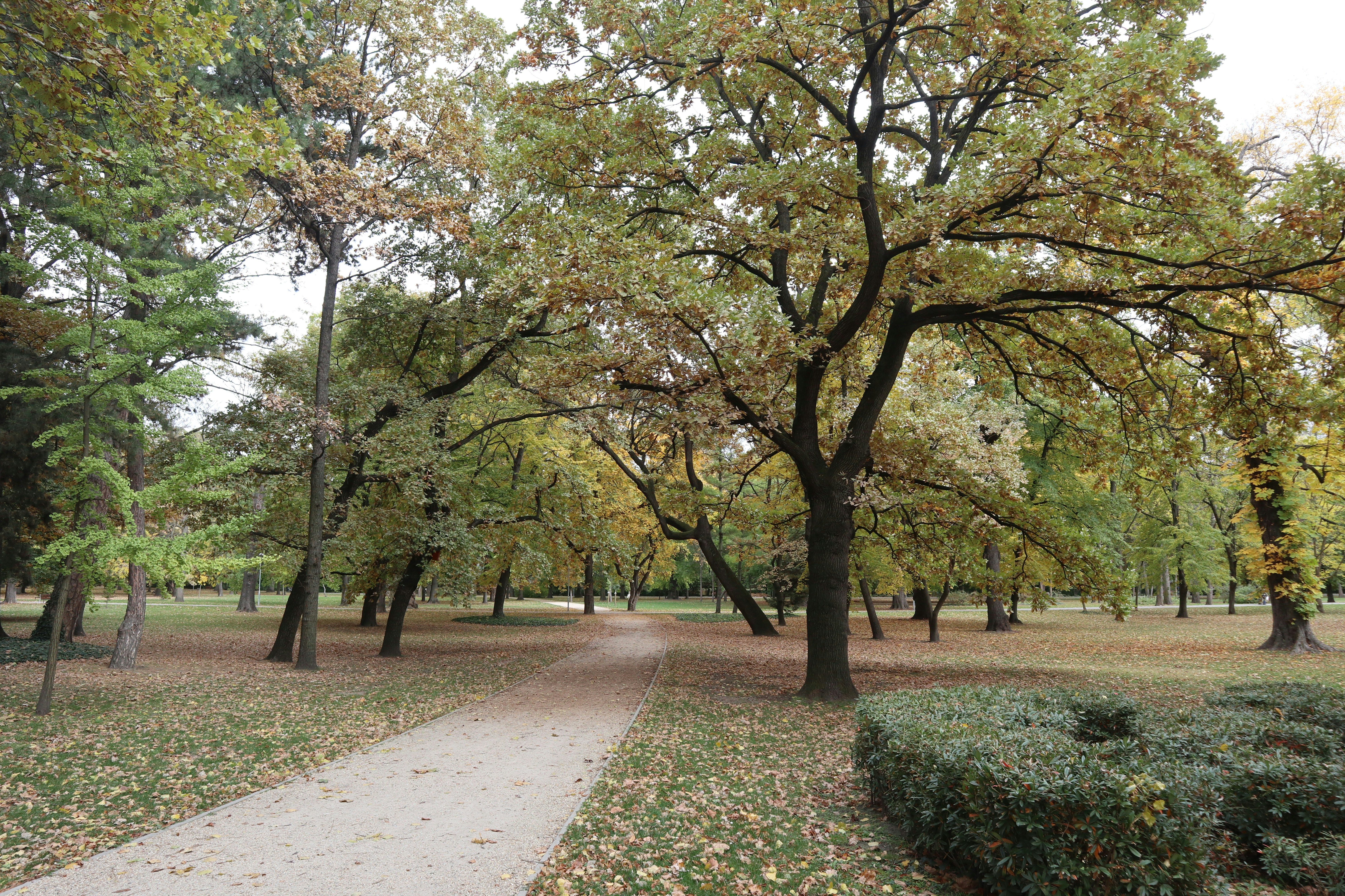 Photo by balint_miko