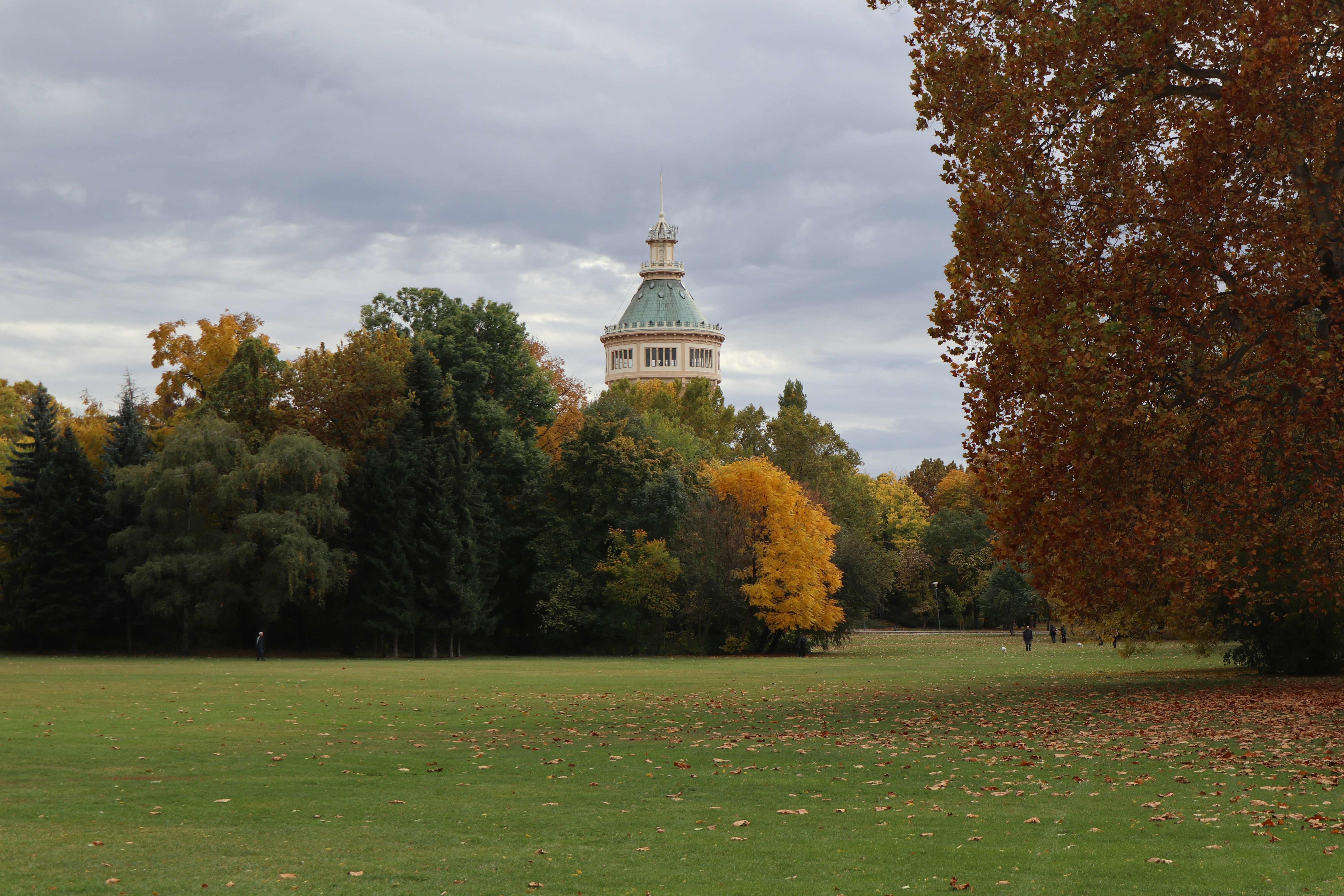 Photo by balint_miko