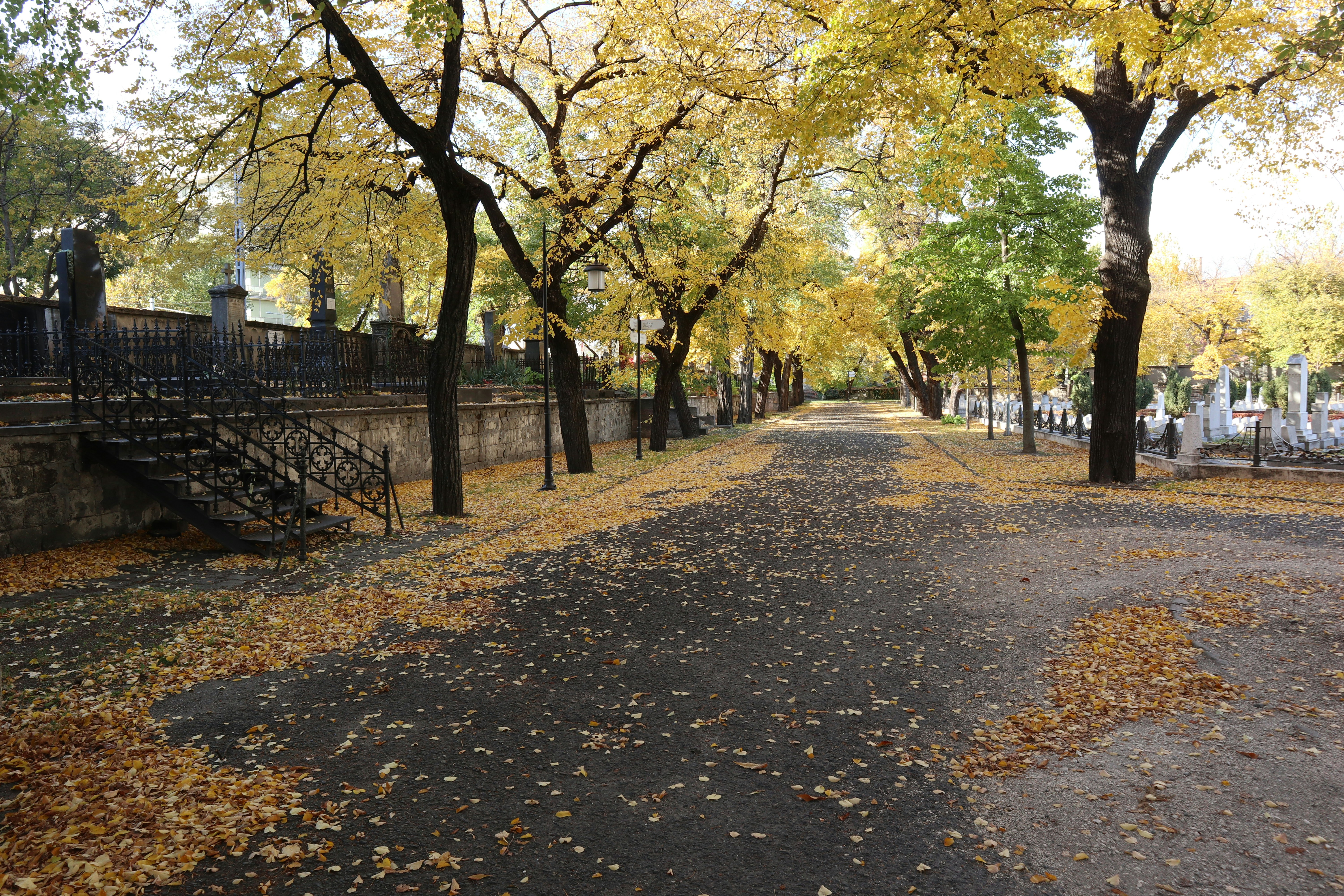 Photo by balint_miko