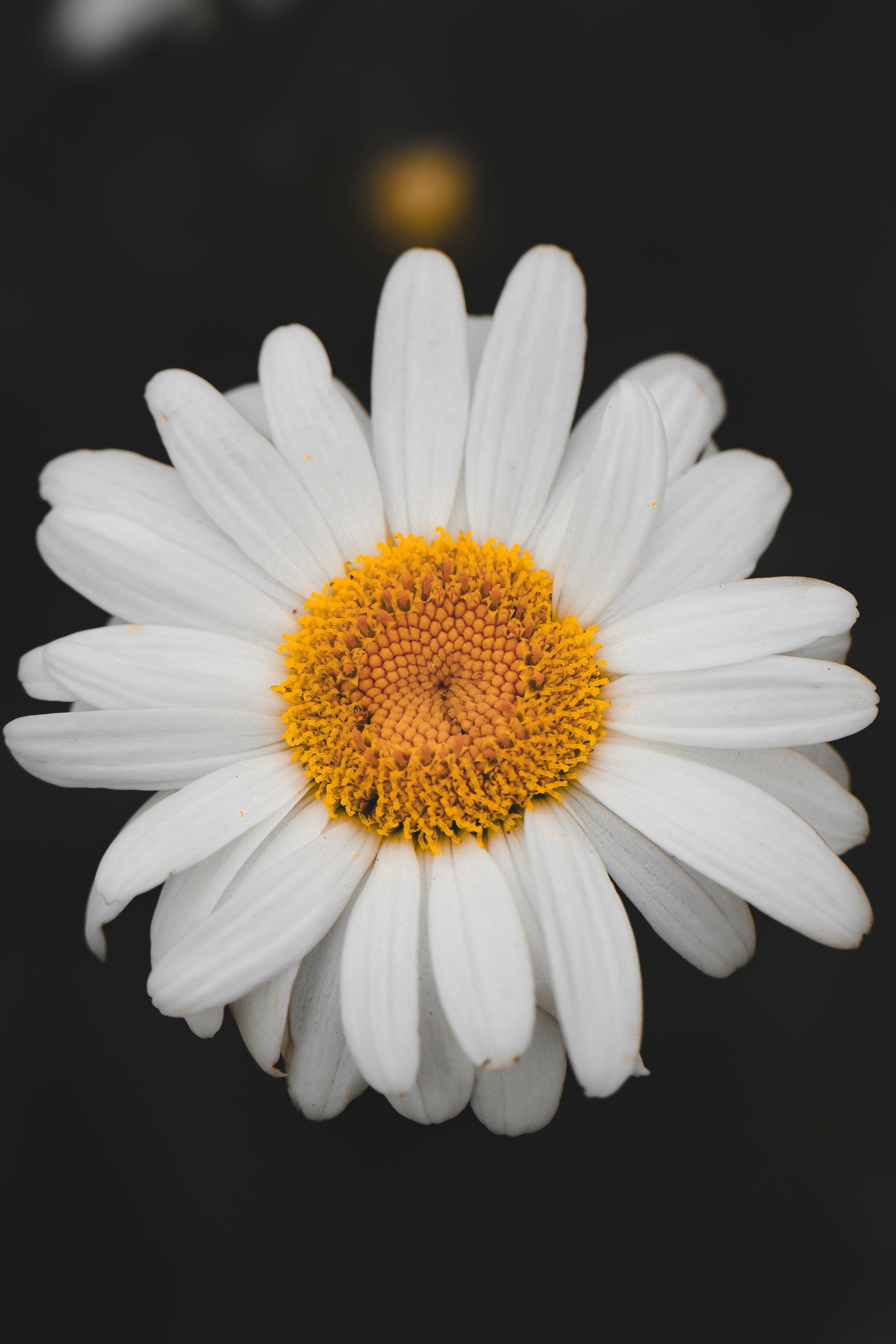 Photo by jasondeanchamberlain