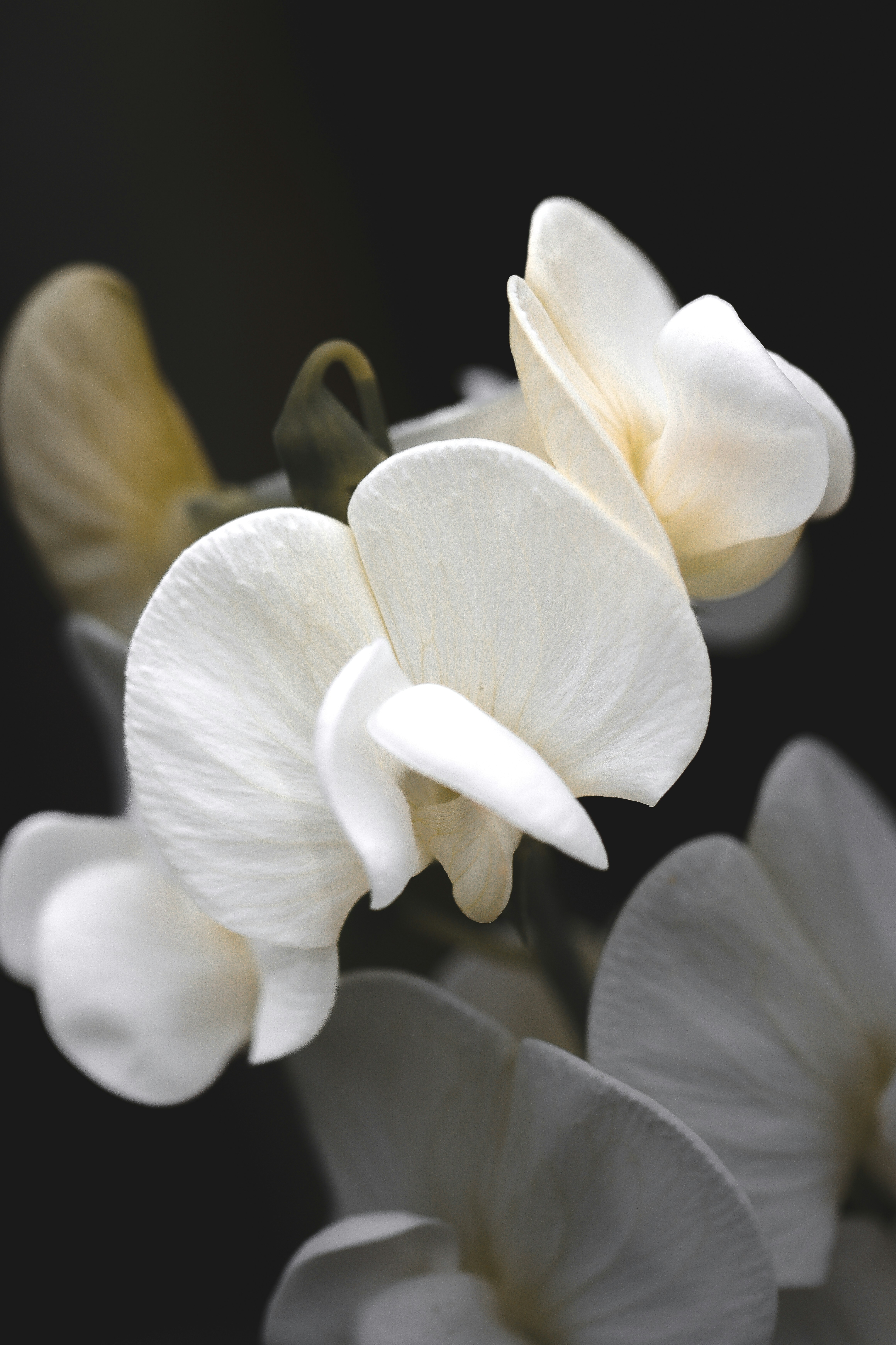 Photo by jasondeanchamberlain