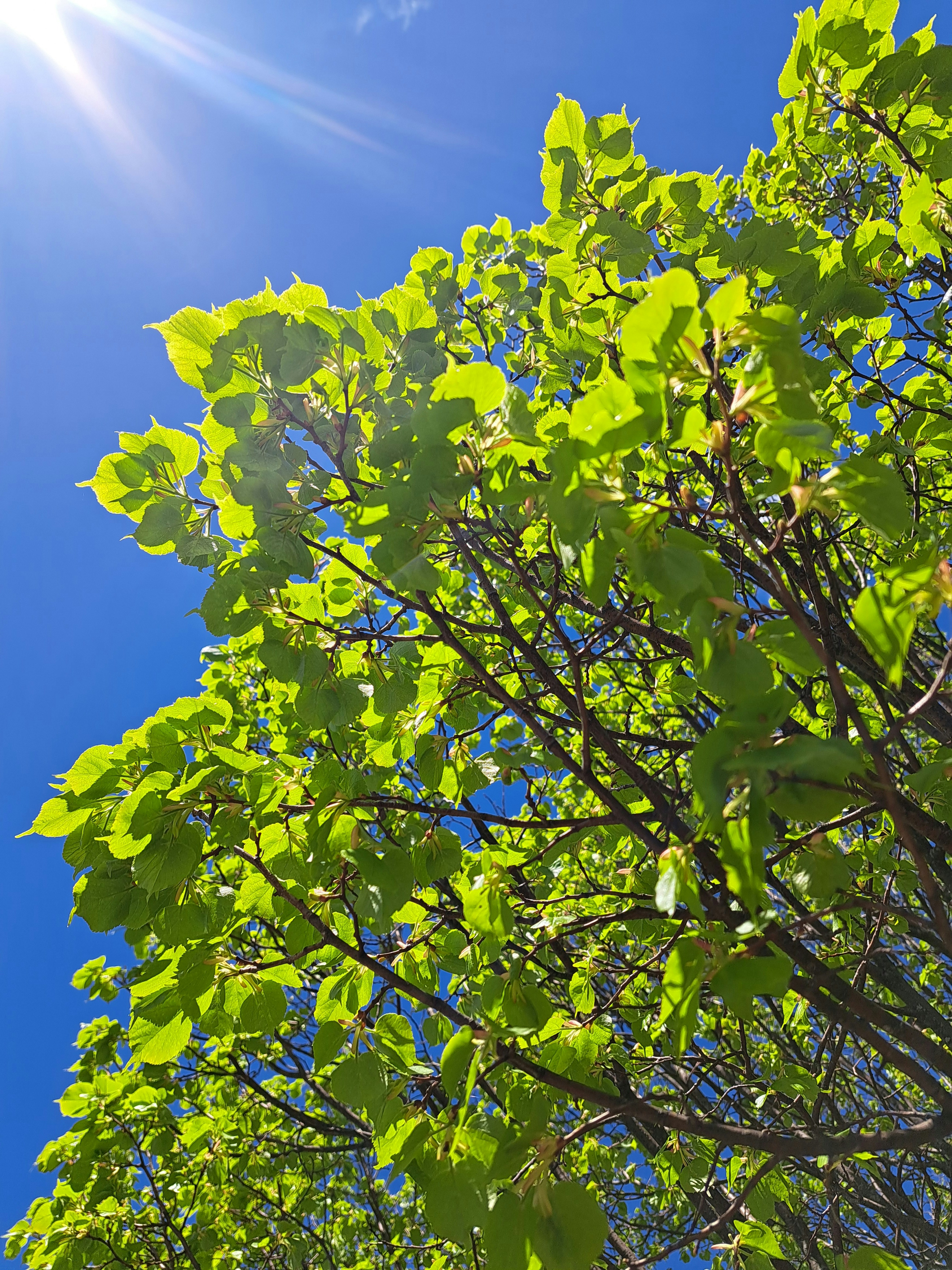 Photo by 41momentintime