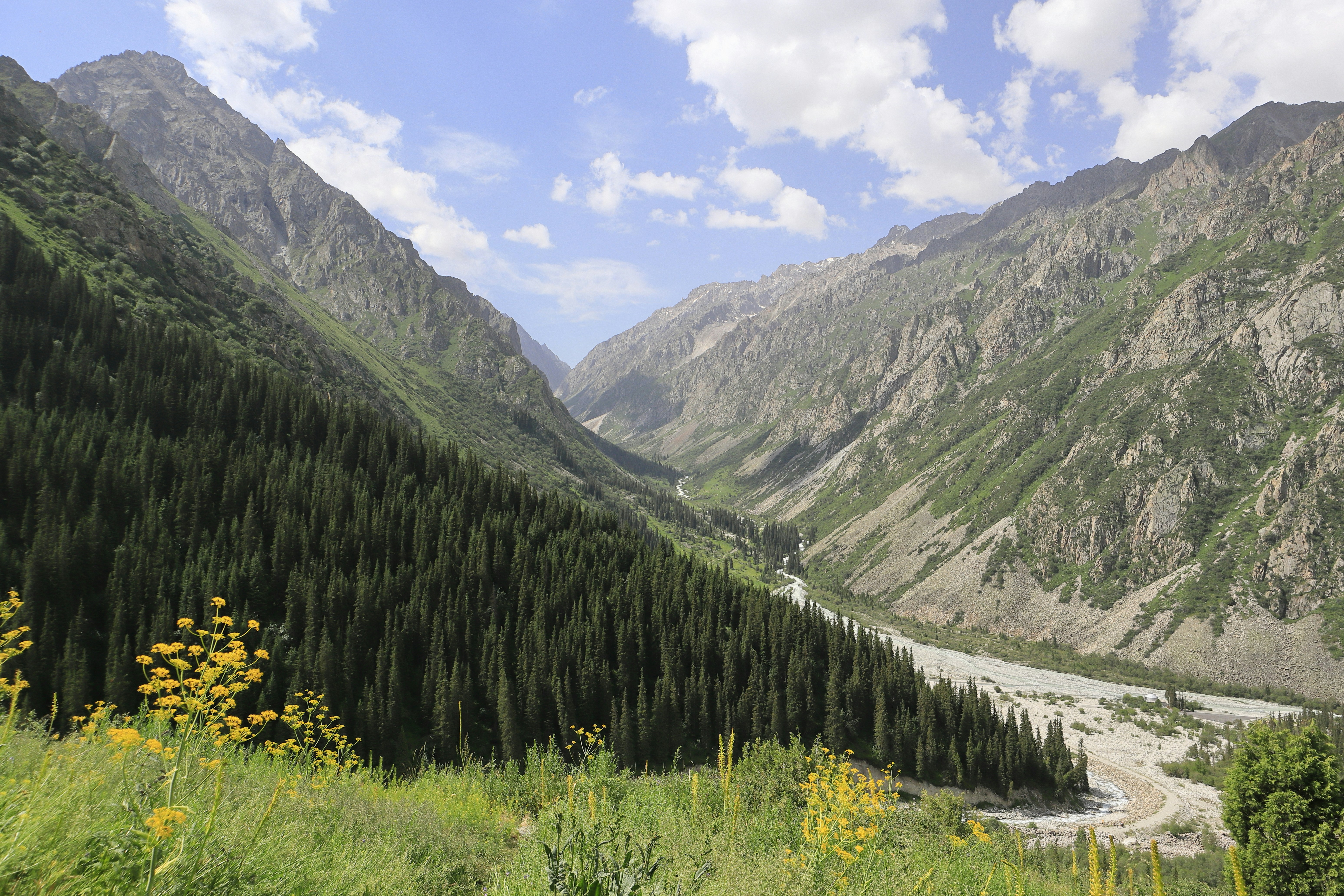 Stay online in the Kyrgyzstan with a prepaid eSIM from eSIMlii. Instant activation, no roaming charges, and reliable coverage.