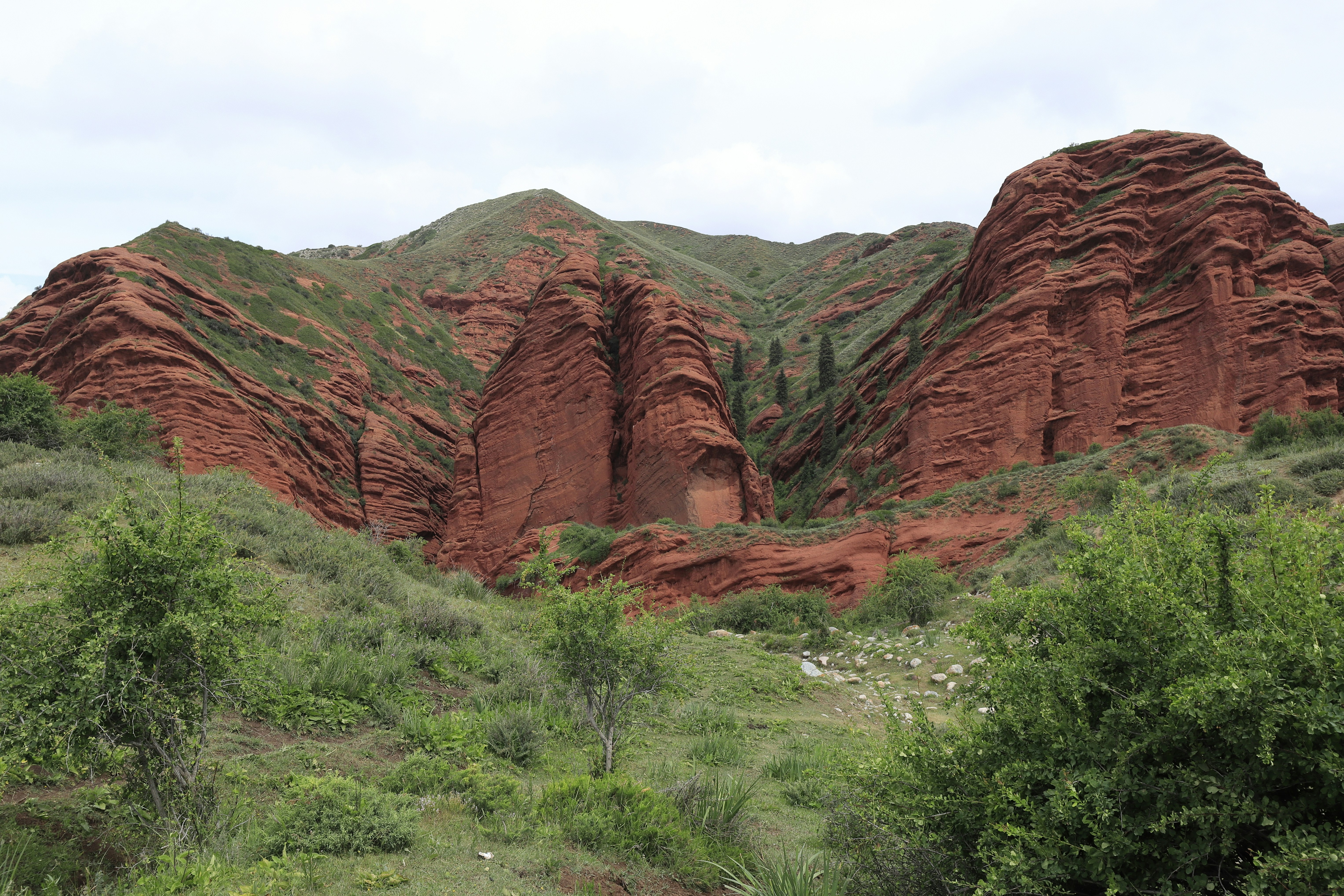 A mountain range with trees and bushes in the foreground