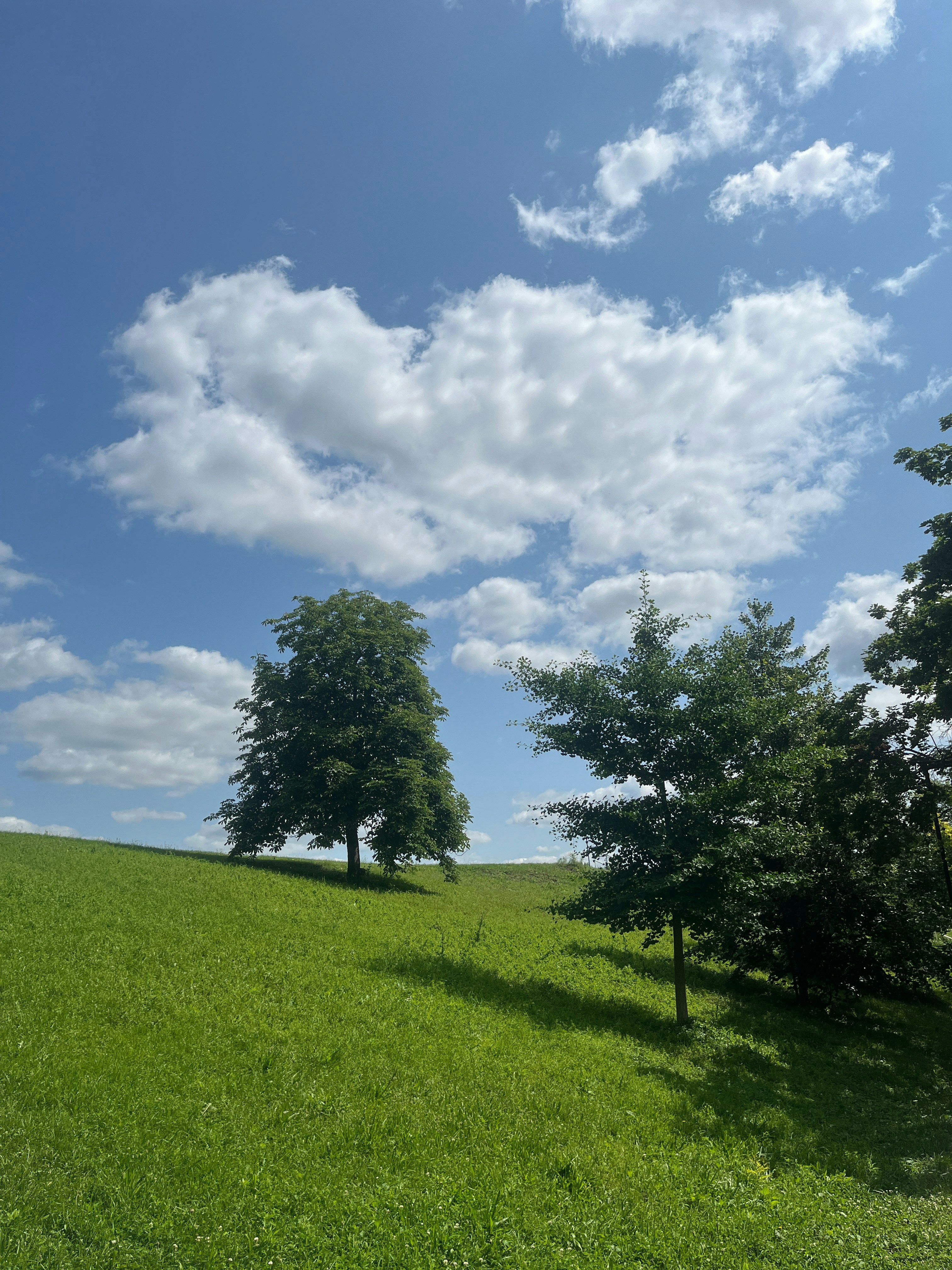 Photo by saharnaaz88