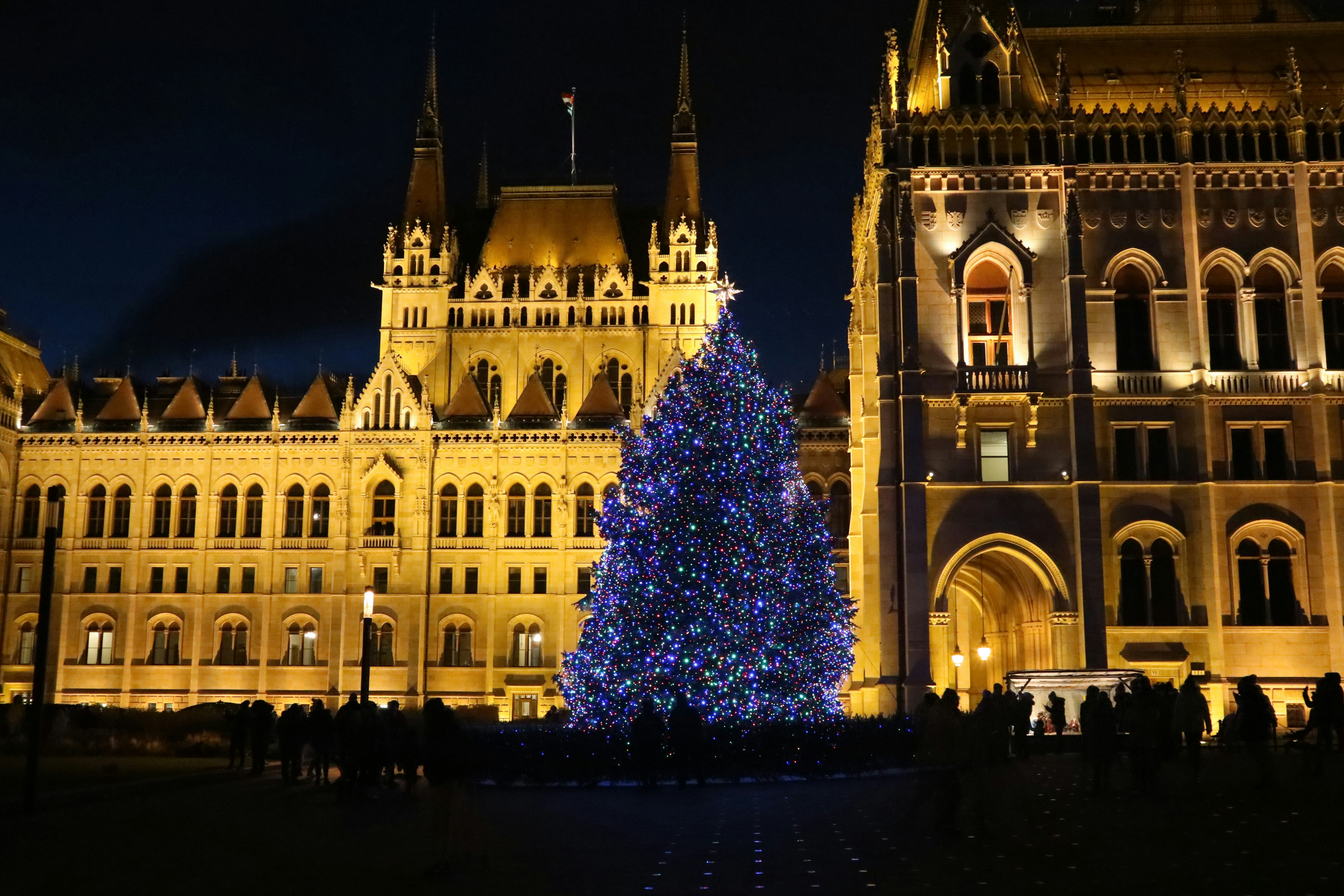 A blue-lit Christmas tree in front of the illuminated Hungarian Parliament at night