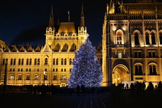 A large christmas tree in front of a large building